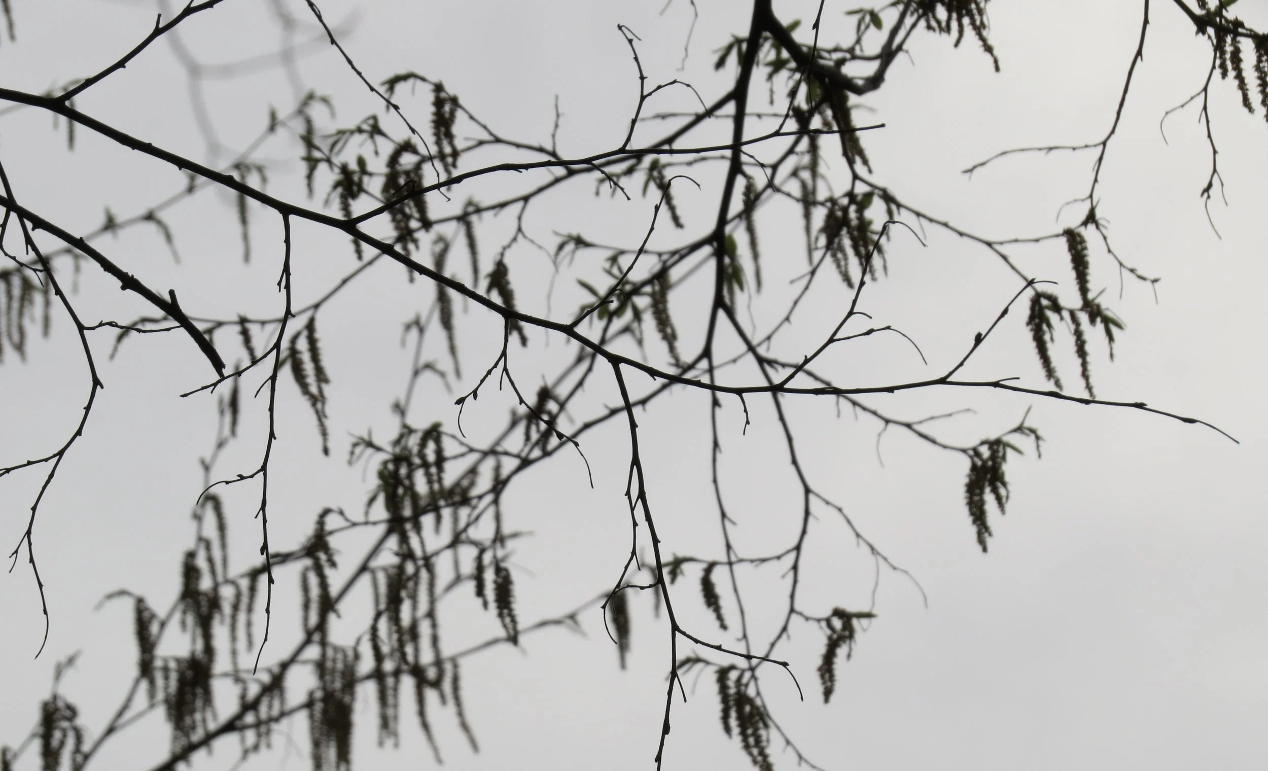 "Fairytale Setting," Catherine McKean '24