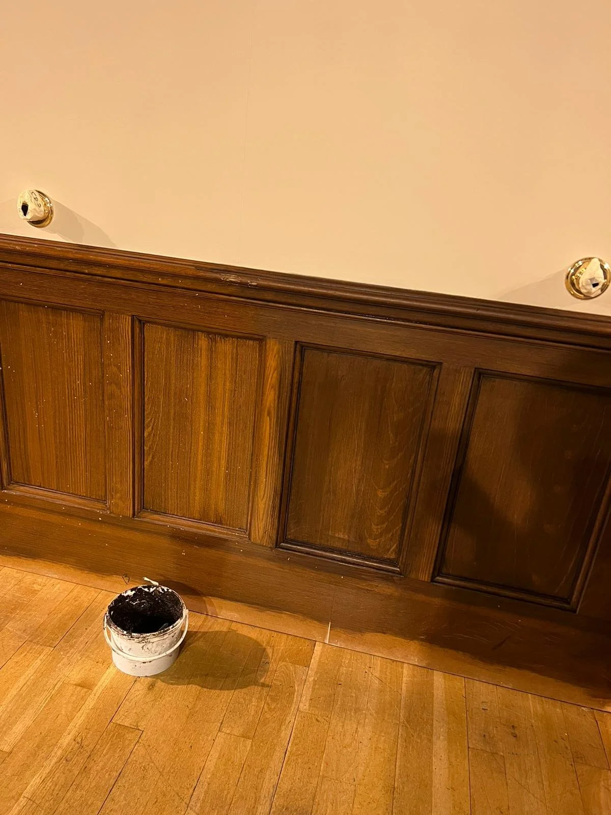 d0fab683-e880-4558-93c1-577296c92c40 2.JPG