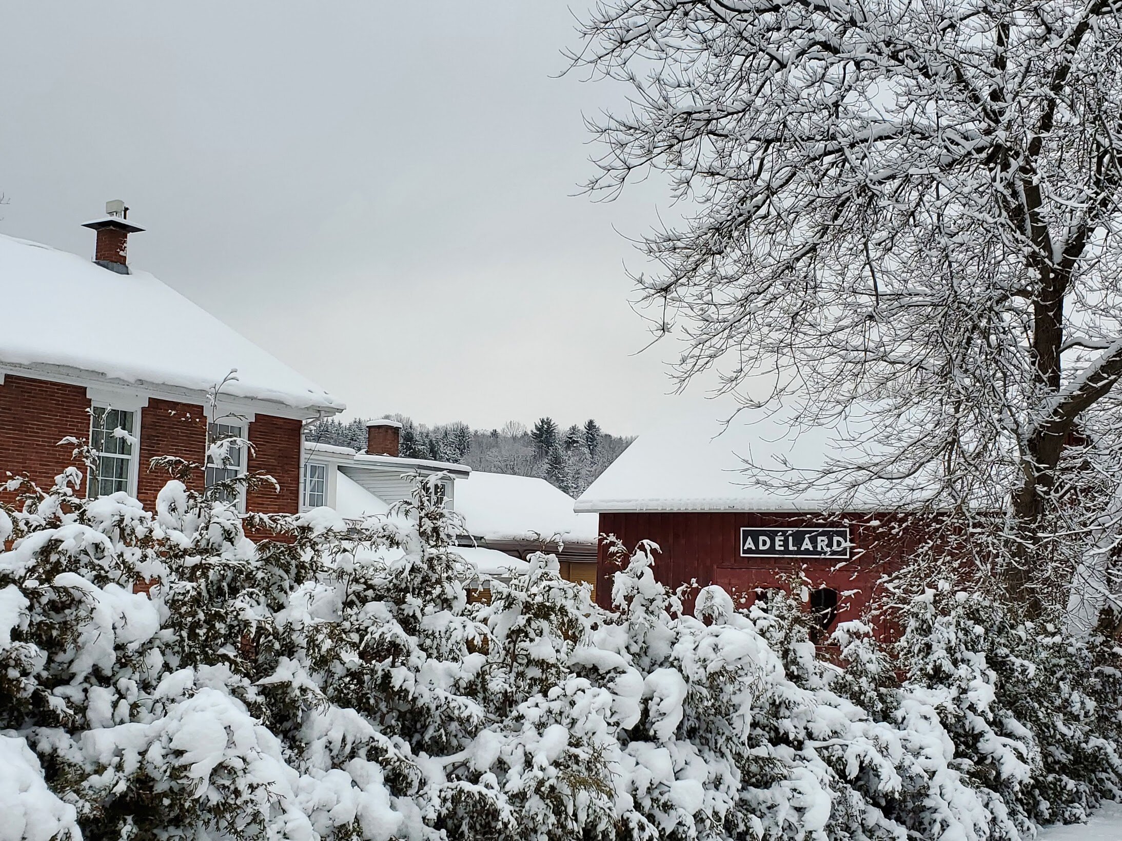 Adelard-neige-janvier2021.jpg
