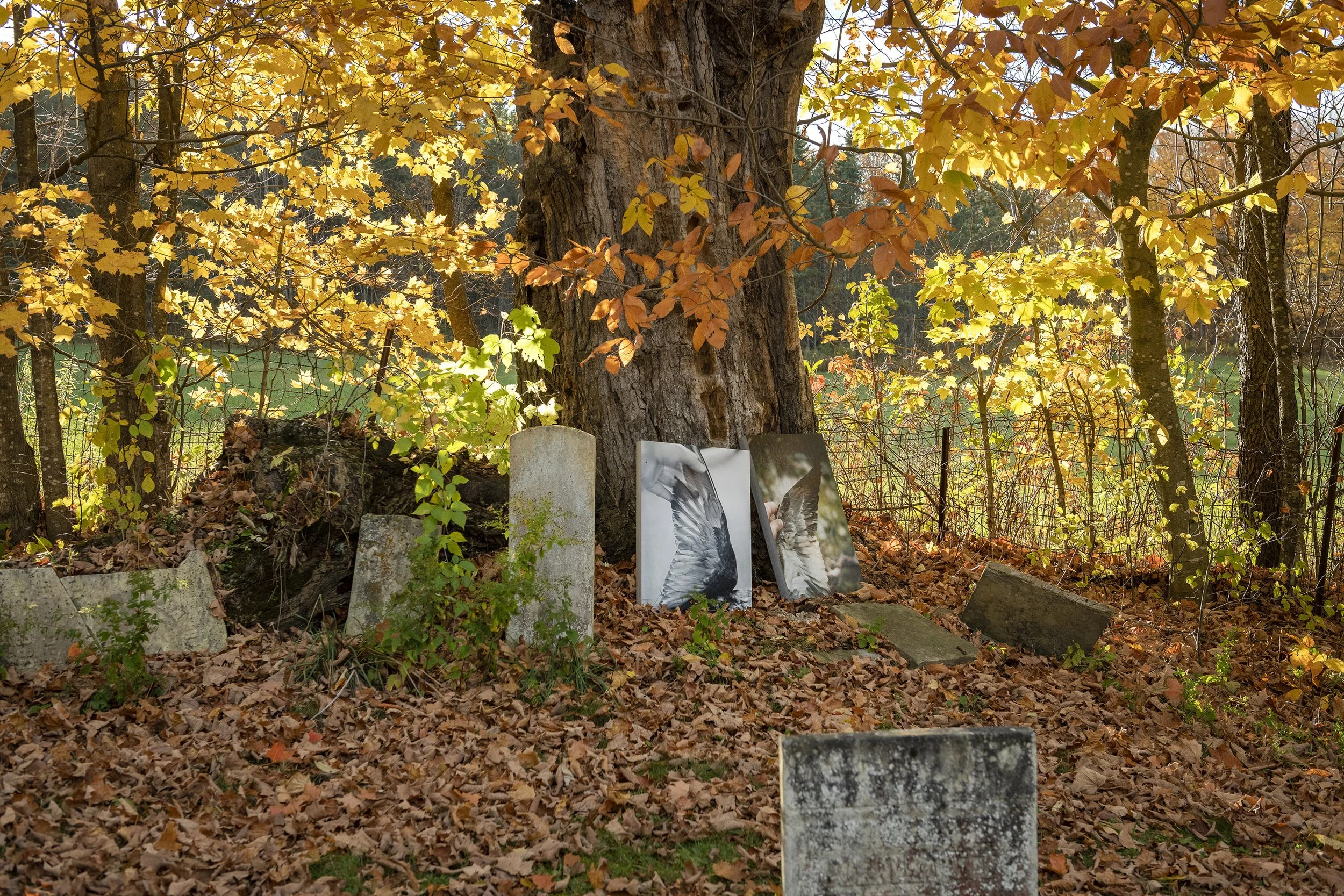 _DSC9088_LR.jpg