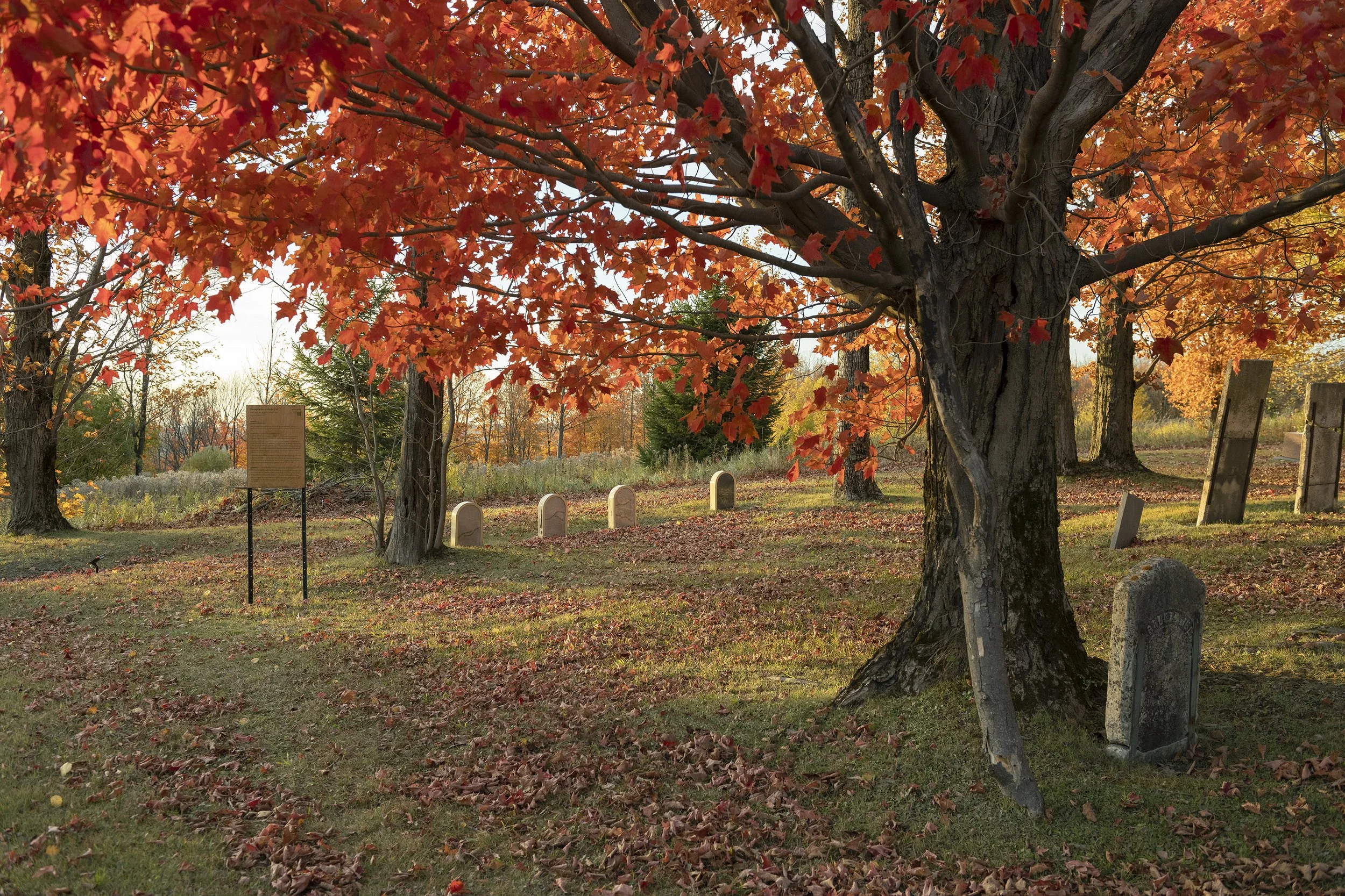 _DSC9334_LR.jpg
