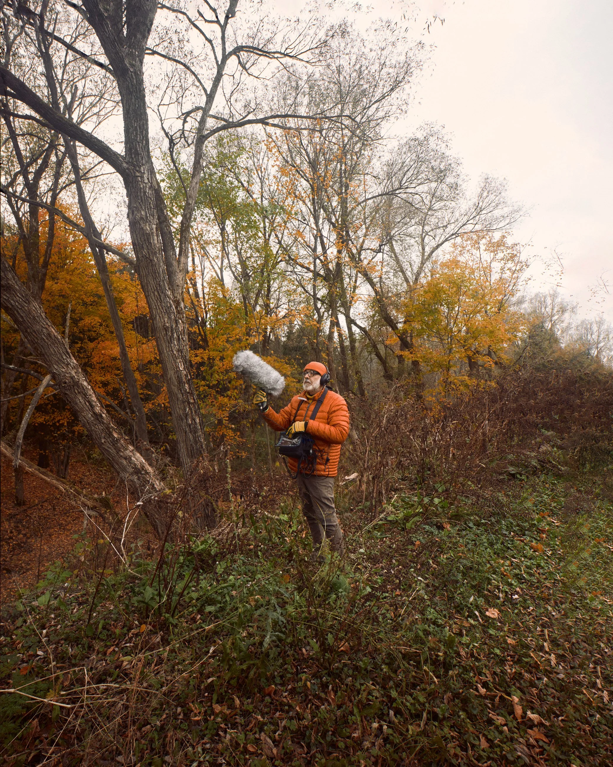 L'être transmuté écoute pour trouver sa place dans le monde..jpg