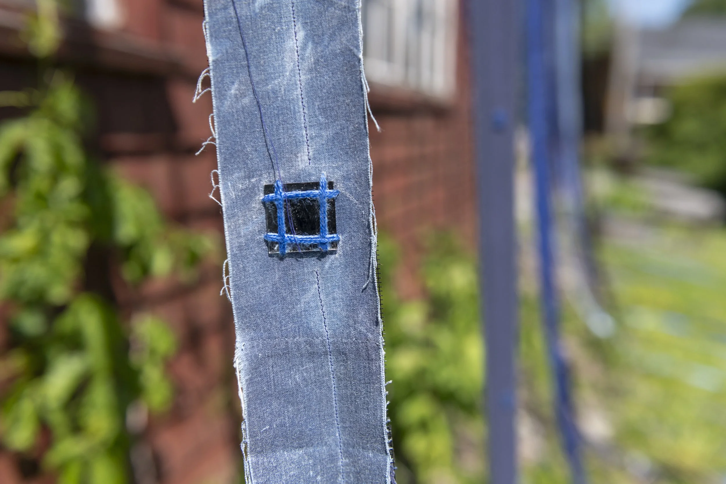 _DSC3083_LR.jpeg
