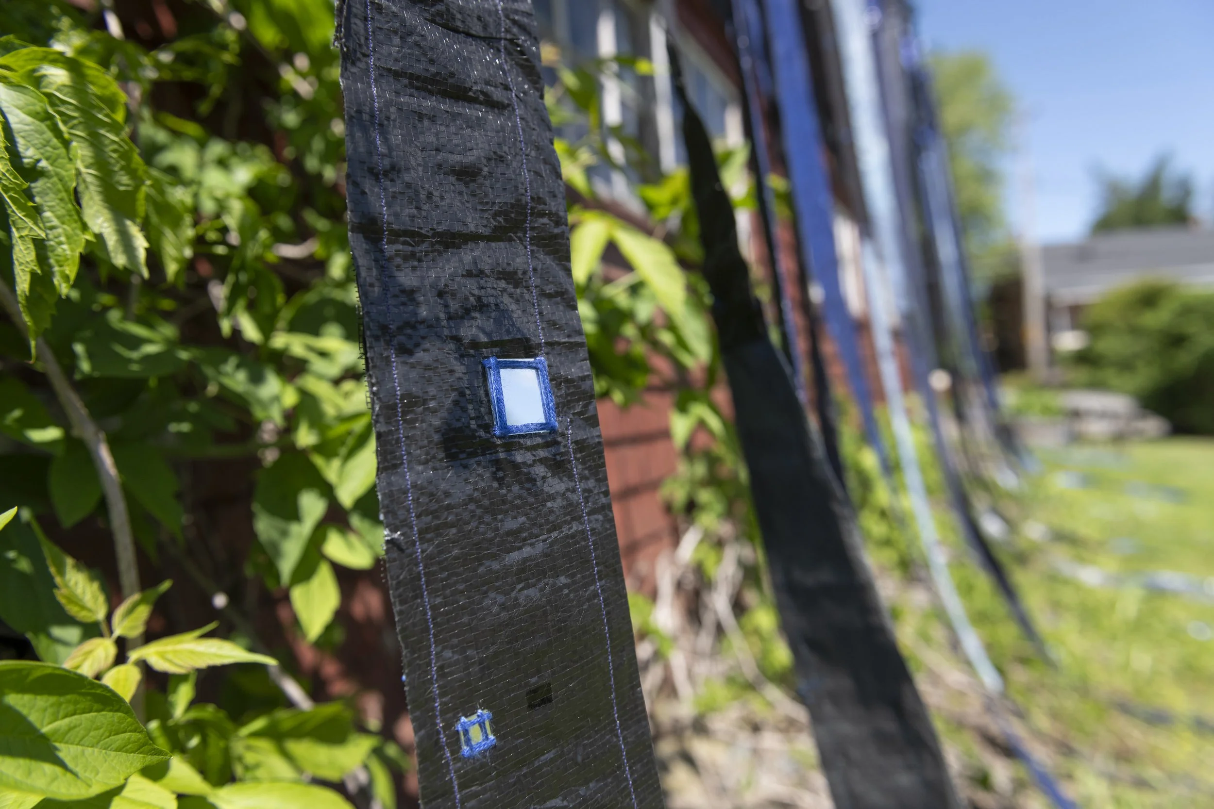 _DSC3092_LR.jpeg