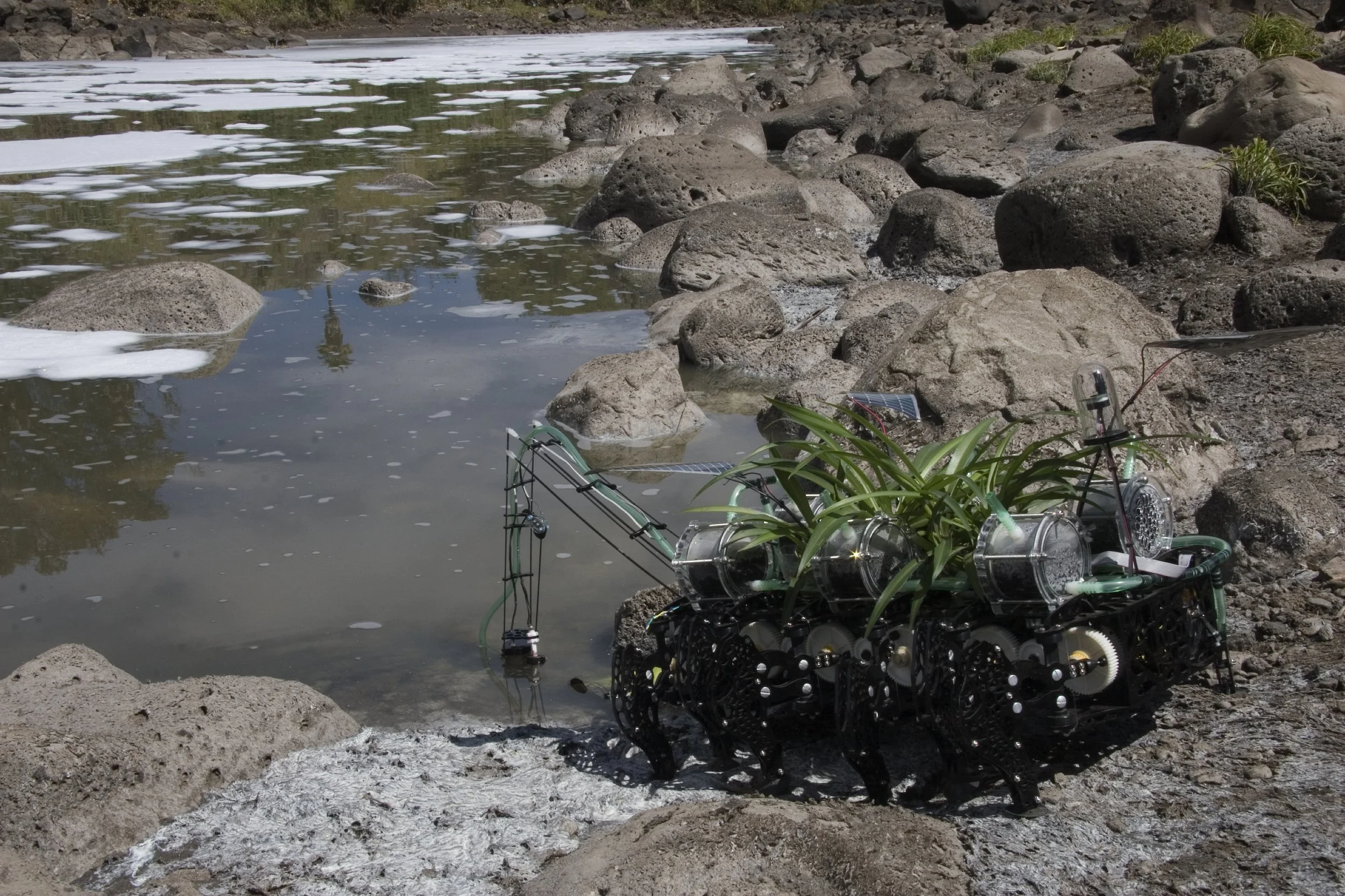 03_GE_Nomadic Plants_2014_Gilberto Esparza.jpg