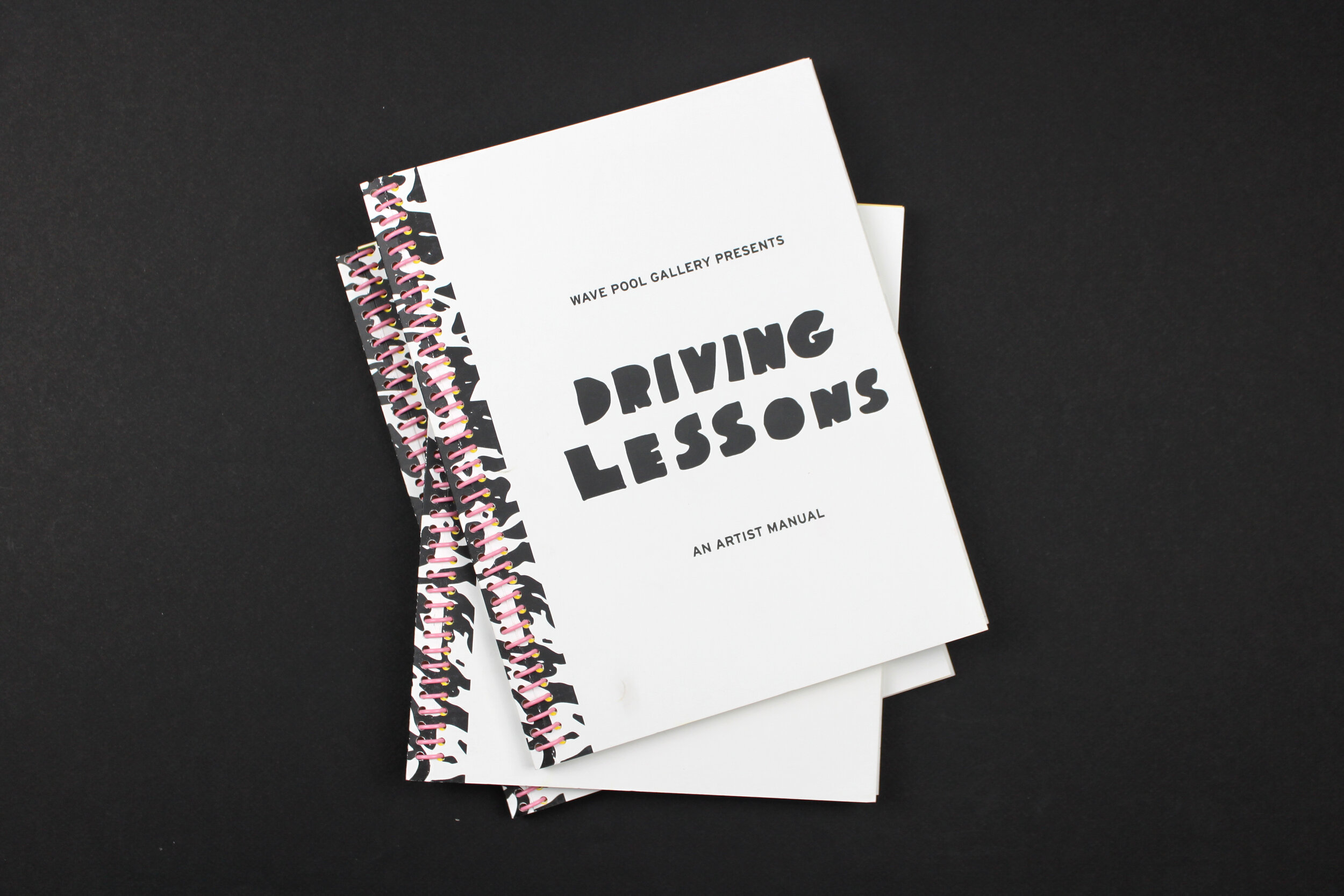 Driving Lessons 01.jpg