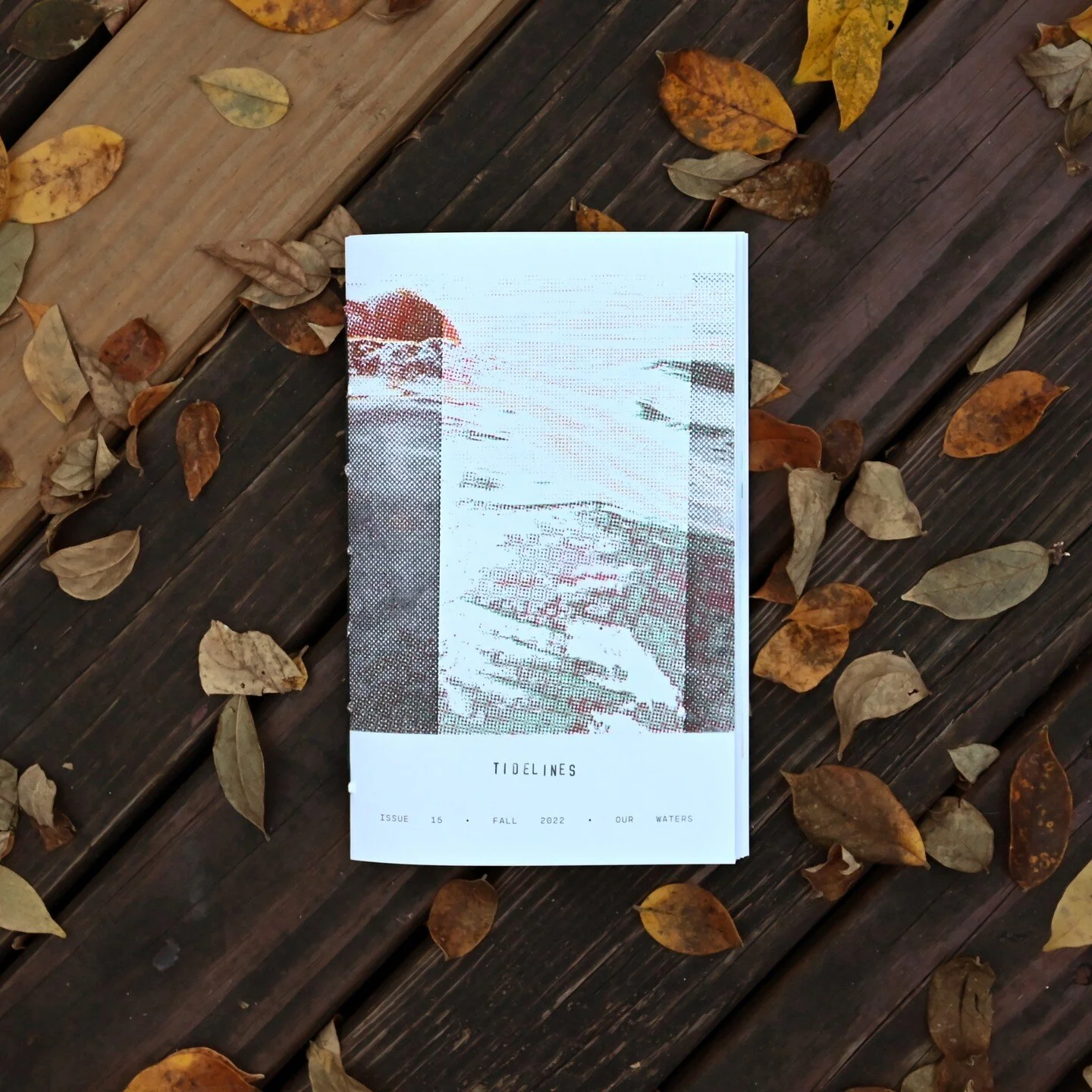 Tidelines Issue 15: OUR WATERS ++ An autumnal collection from our creative community near and far ++ Now available on our site or from Wave Pool's book nook! #tidelineszine @wavepoolartcenter