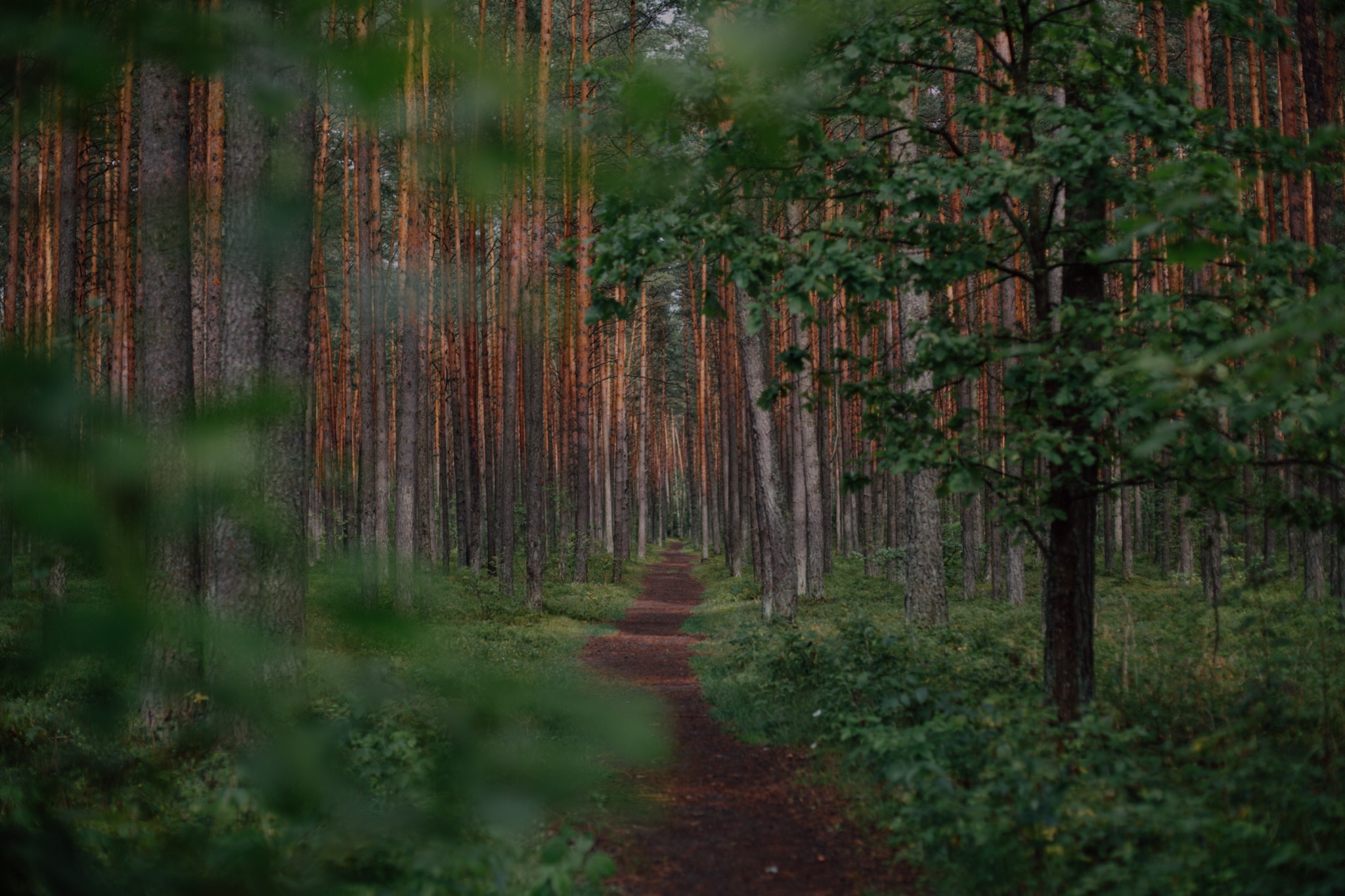 Image-1-3.jpg