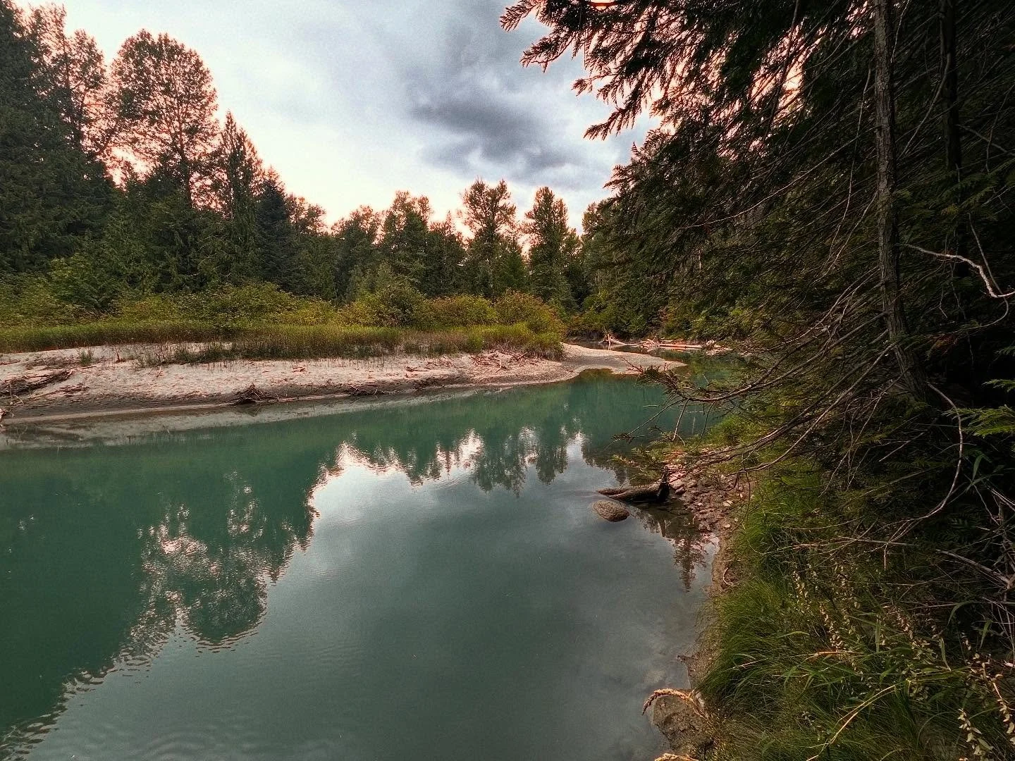 Getting back into nature has brought me back to center and reminded me of the peace that the natural world rests in daily.