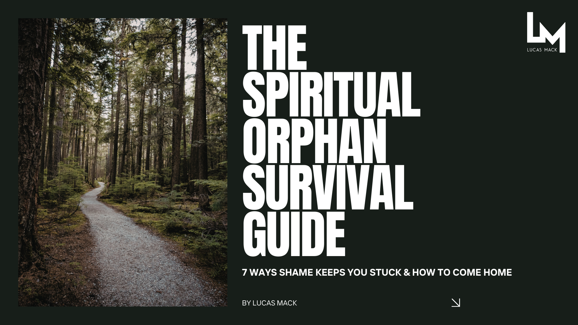 A forest trail surrounded by tall trees with a misty, shaded atmosphere.