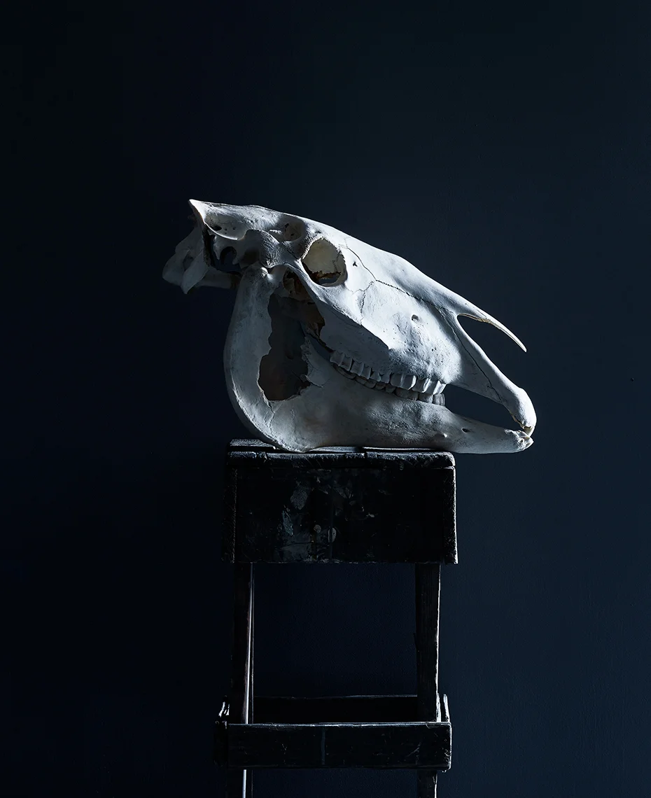 VX_RE_SKULL_ON_TABLE_20181210_Still_Life_Test_0068.jpg
