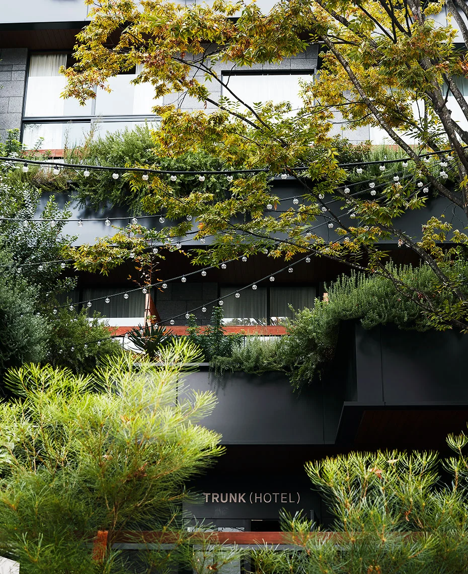 VX_RE_TOKYO_TRUNK_HOTEL_Q0A0193.jpg