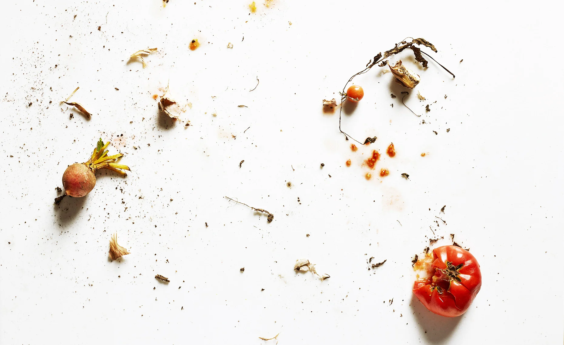 VX_RE_BEET_TOMATO_STILLIFE_20181011_Food_Test_Capture_067.jpg