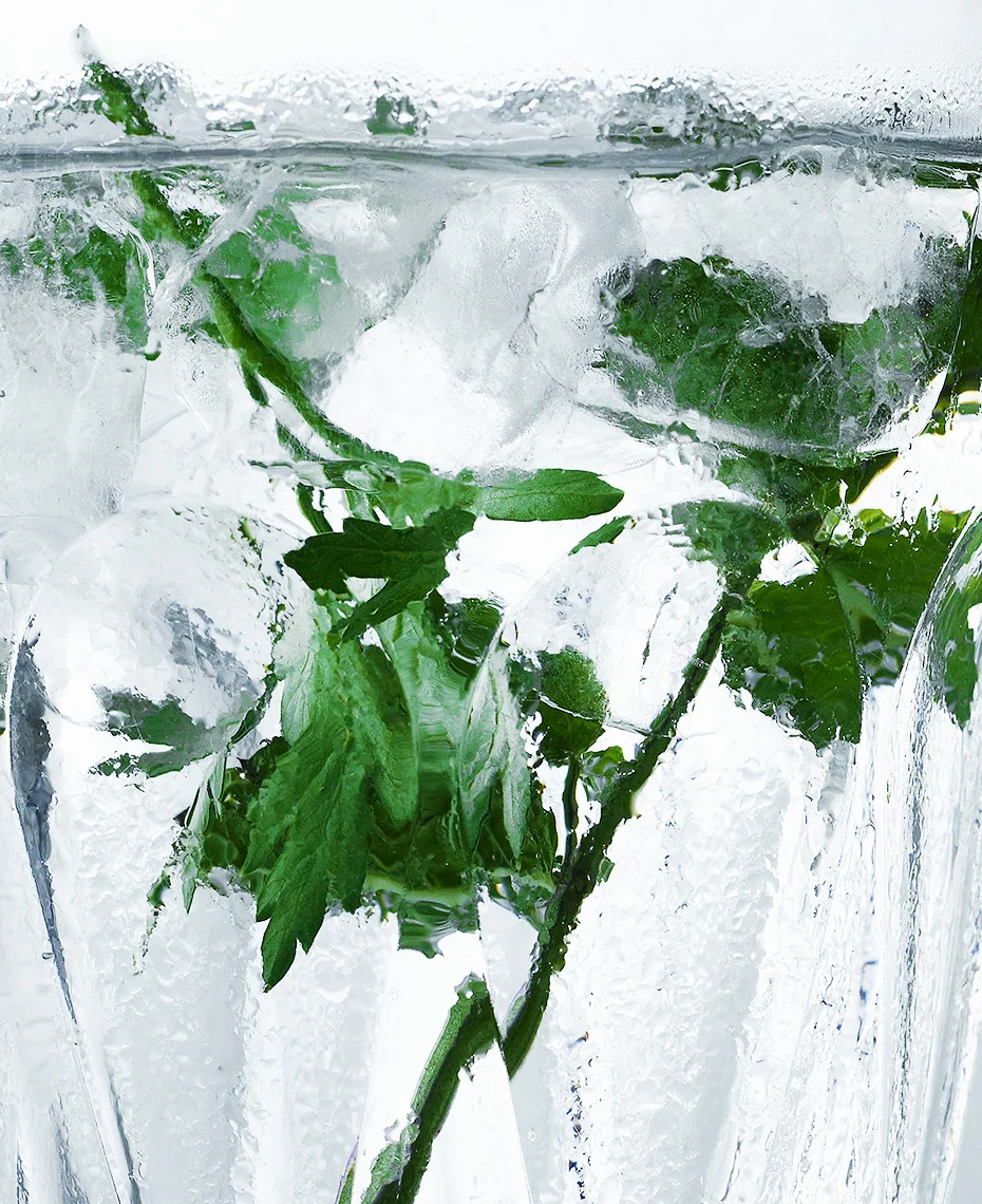 VX_RE_DP_VODKA_GREENS_test-10584.jpg