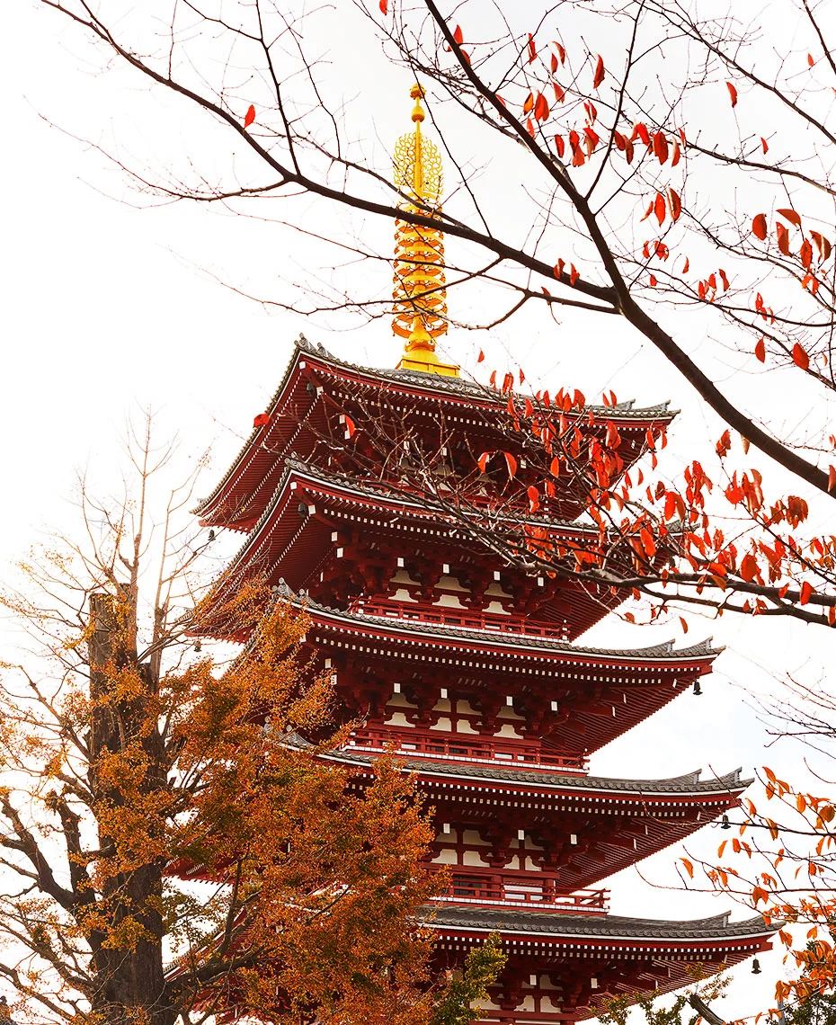 VX_RE_TOKYO_Q0A0047-1.jpg