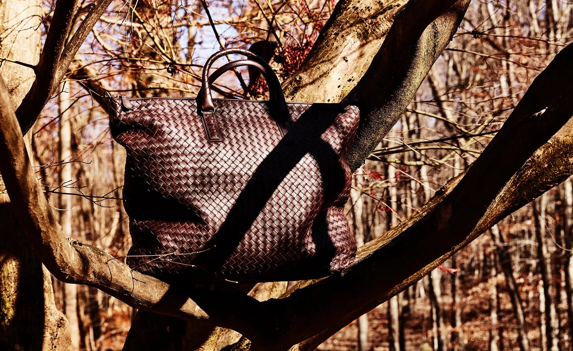 VX_RE_BOTEGA_VENETTA_20181109_Forest_Test_0032.jpg