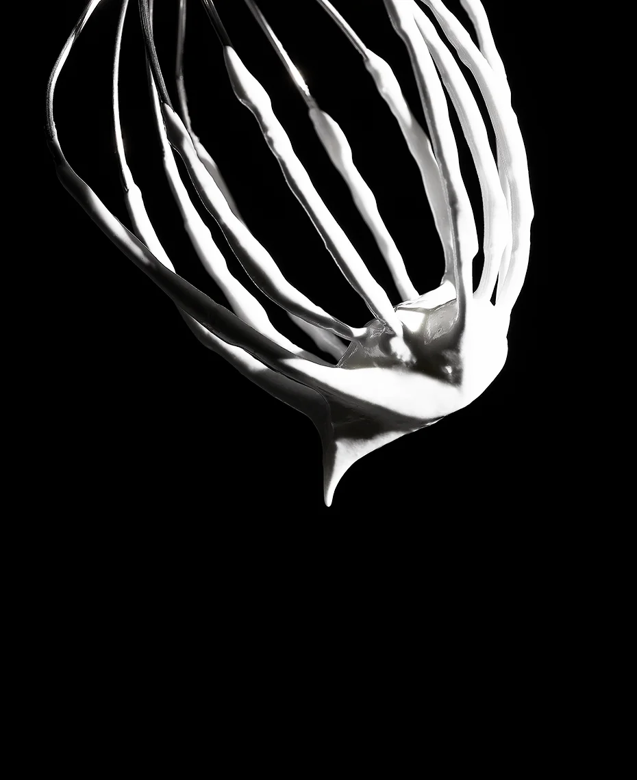 VX_RE_MERANGUE_Whisk_027.jpg