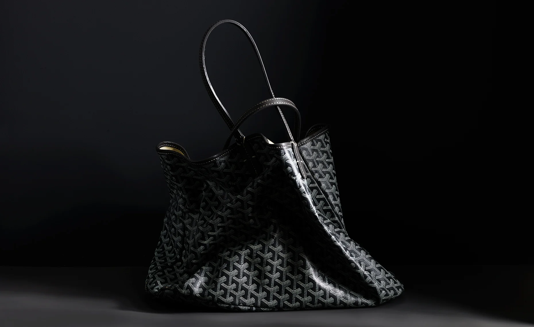 VX_GOYARD_RE_2_DP_Test_003.jpg