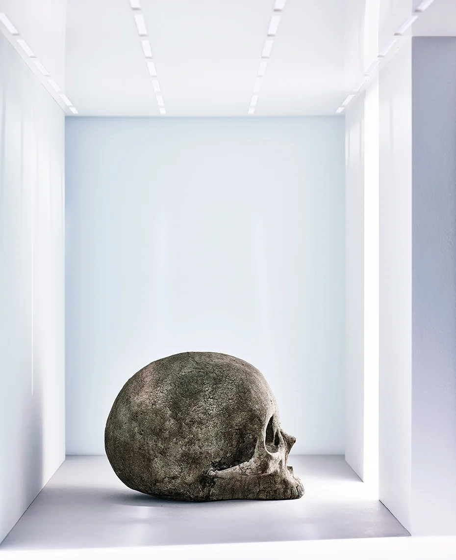 VX_RE_GALLERY_SKULL_20190626_DP_Test_0015.jpg