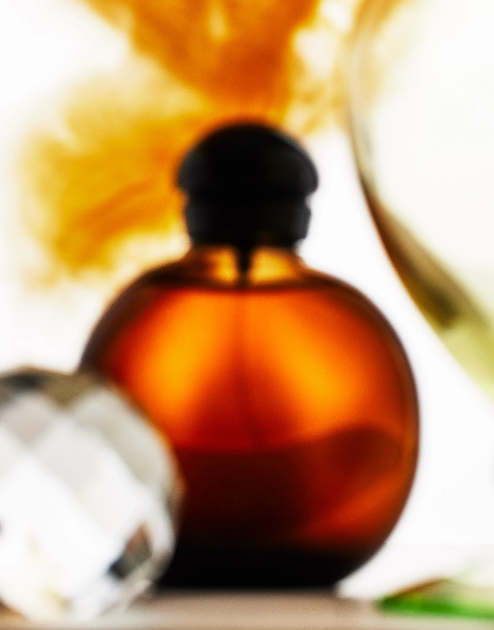 VX_RE_HALSTON_5_19_25_STUDIO_STILLIFE_TEST8599.jpg