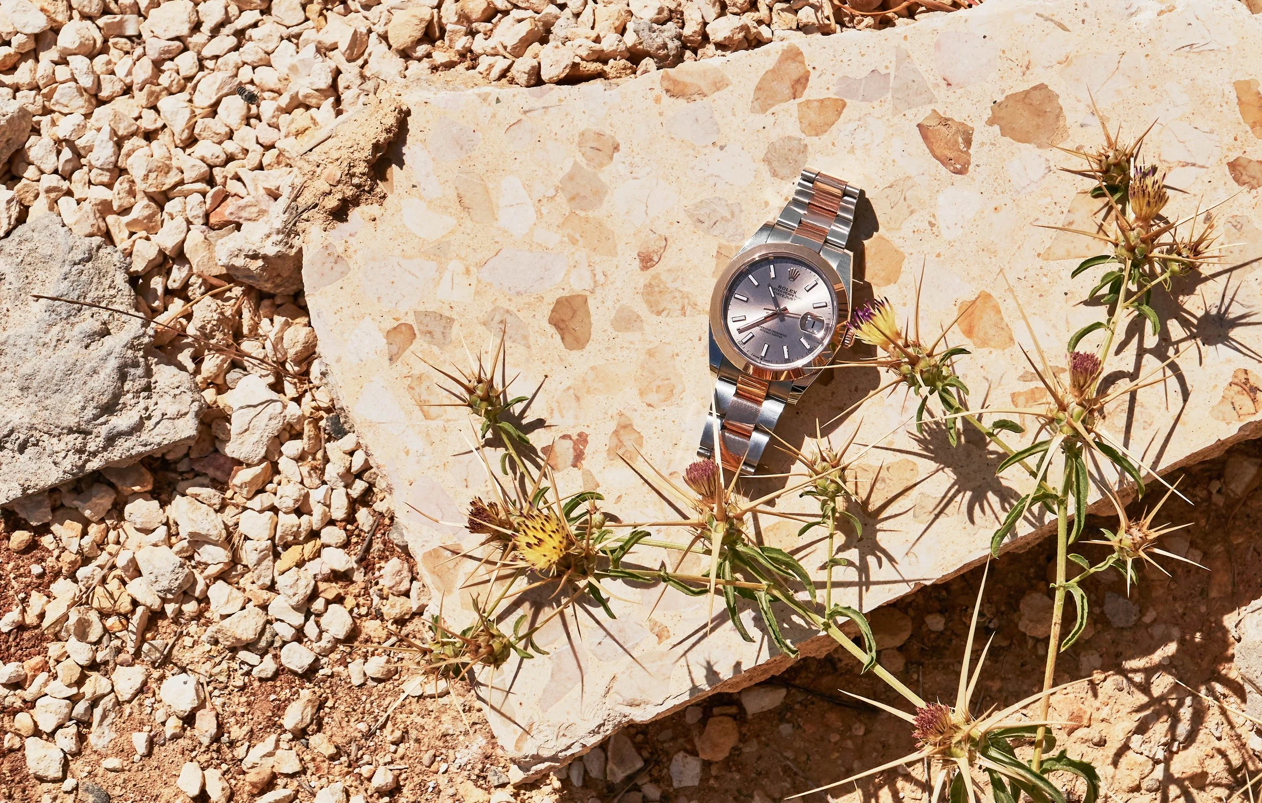 VX_RE_ROLEX_DATEJUST_L1023304.jpg