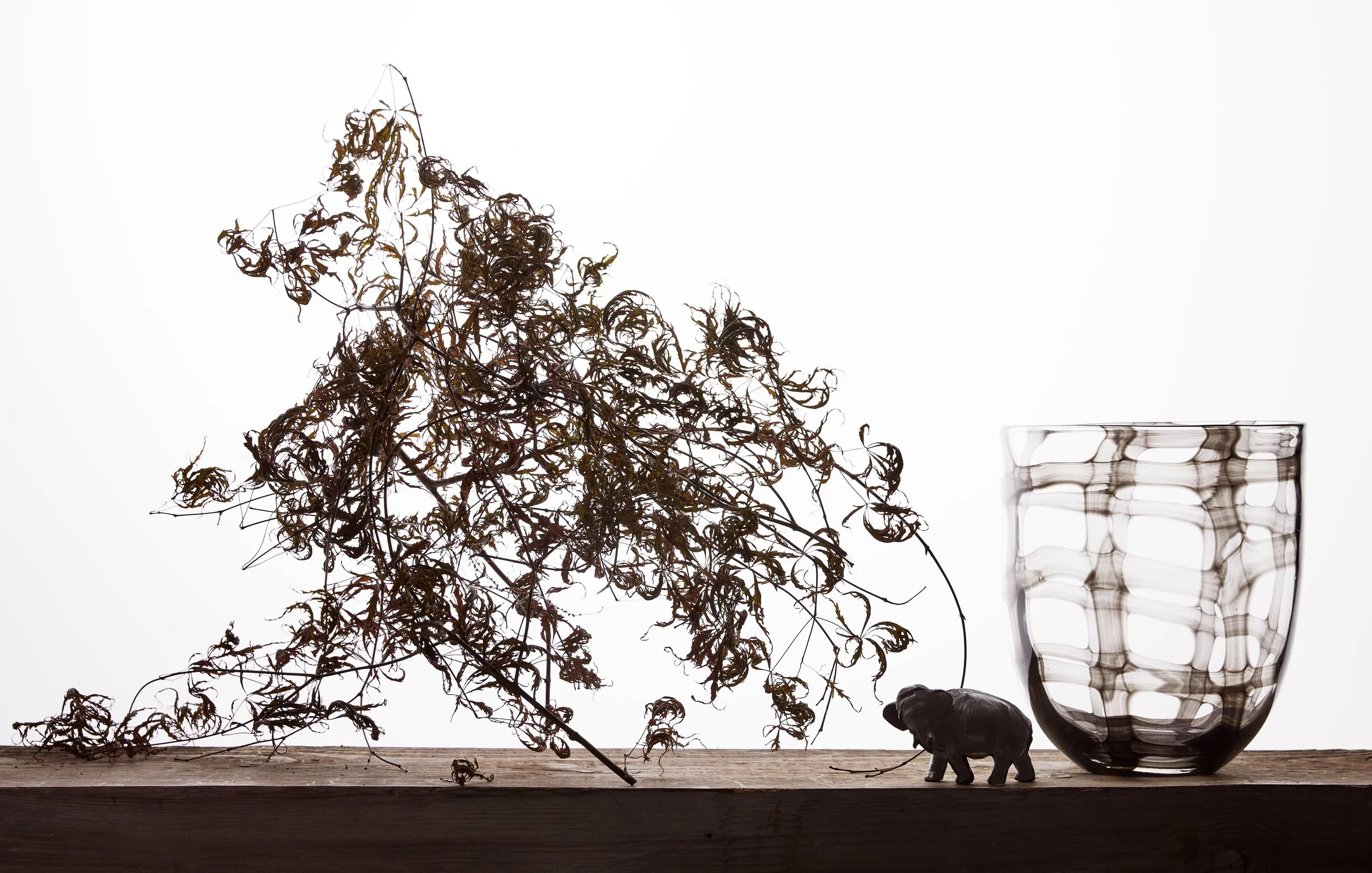 VX_RE_VENINI_GLASS_WITH_ELEPHANT_6_20_25_Stillife_test8975.jpg