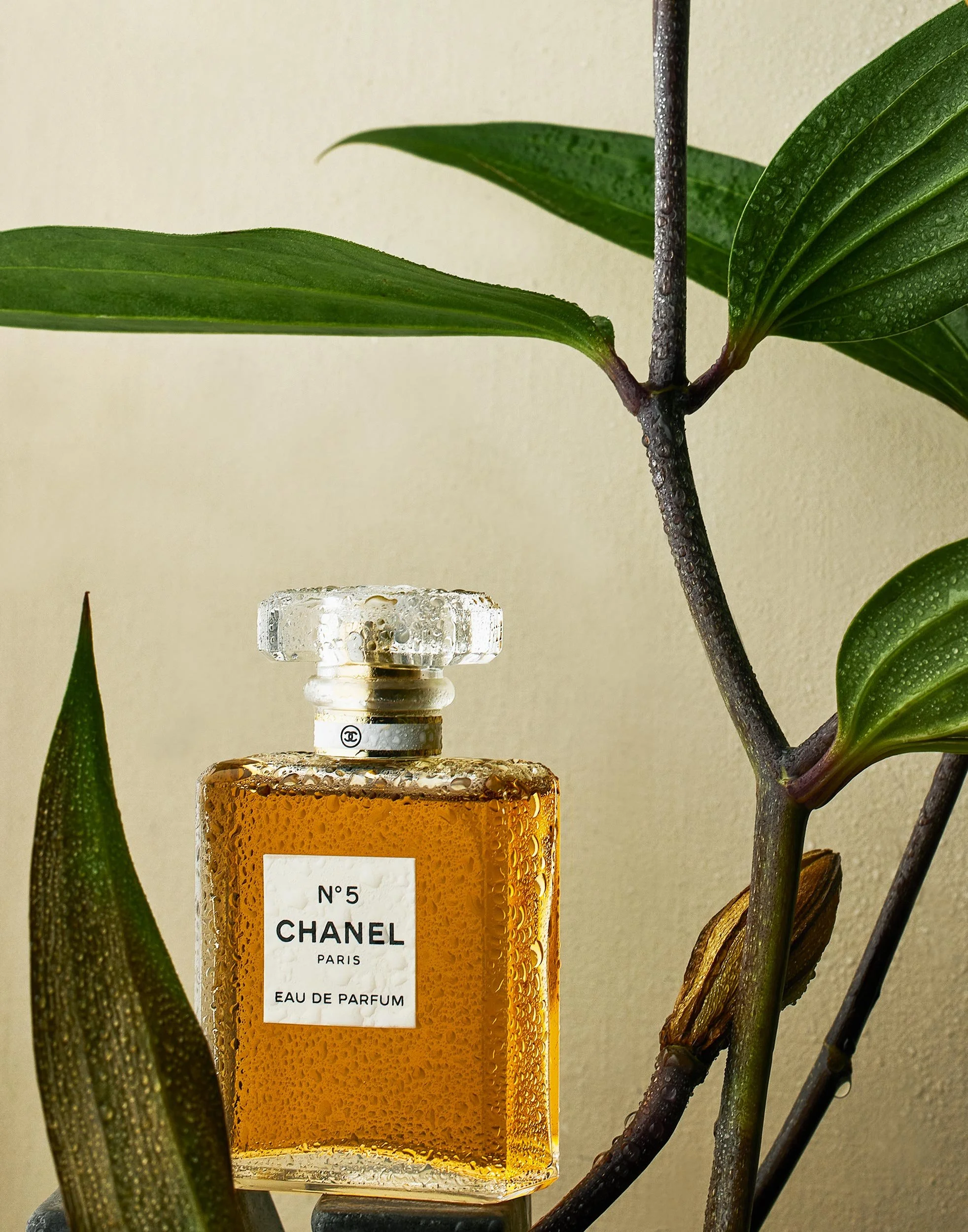 VX_RE_CHANEL_W_LILLYS_7-15-25_stillife_10044.jpg