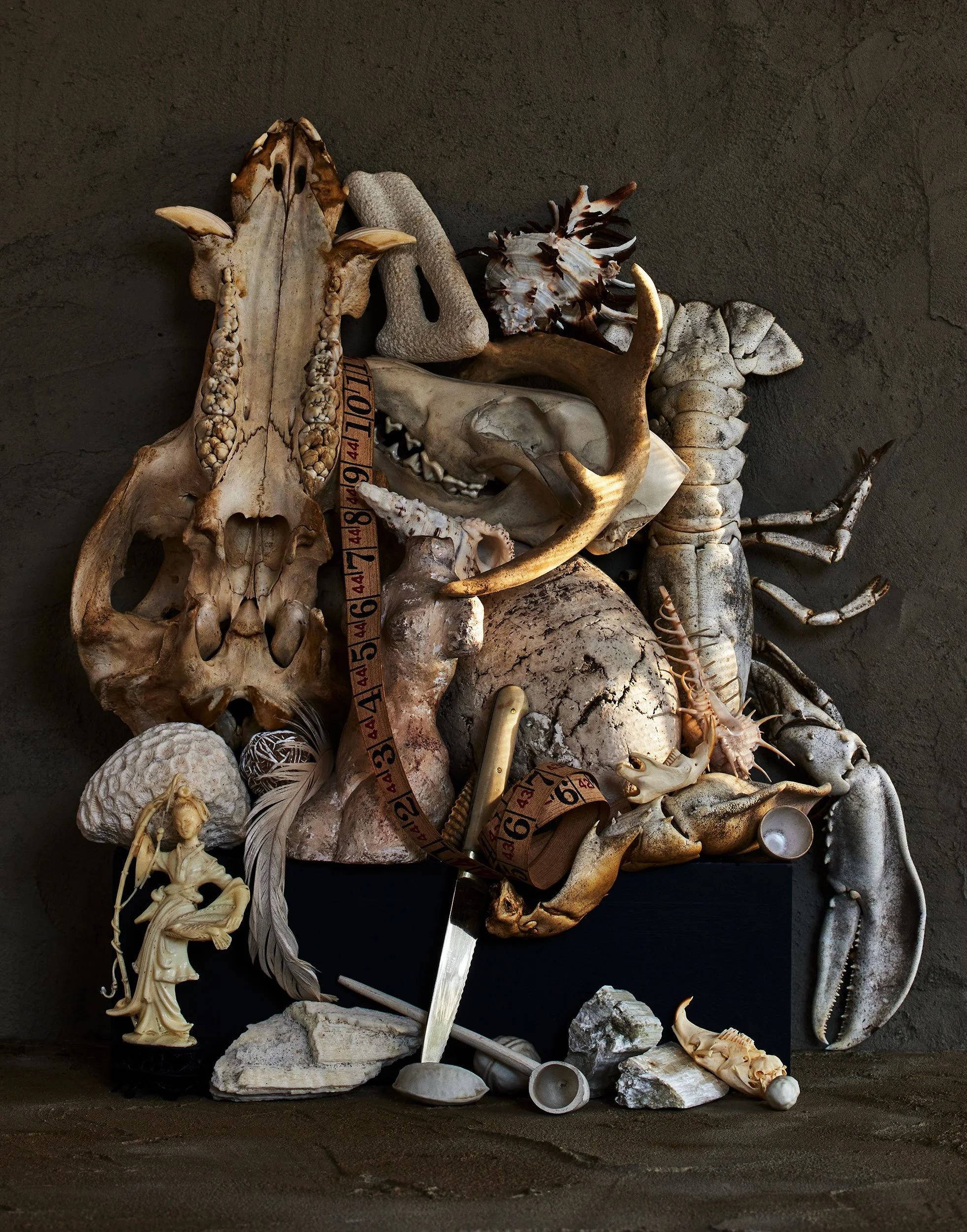 VX_RE_SKULLS_BONES_11_20_25_Stillife--Test_Assemblages13817.jpg