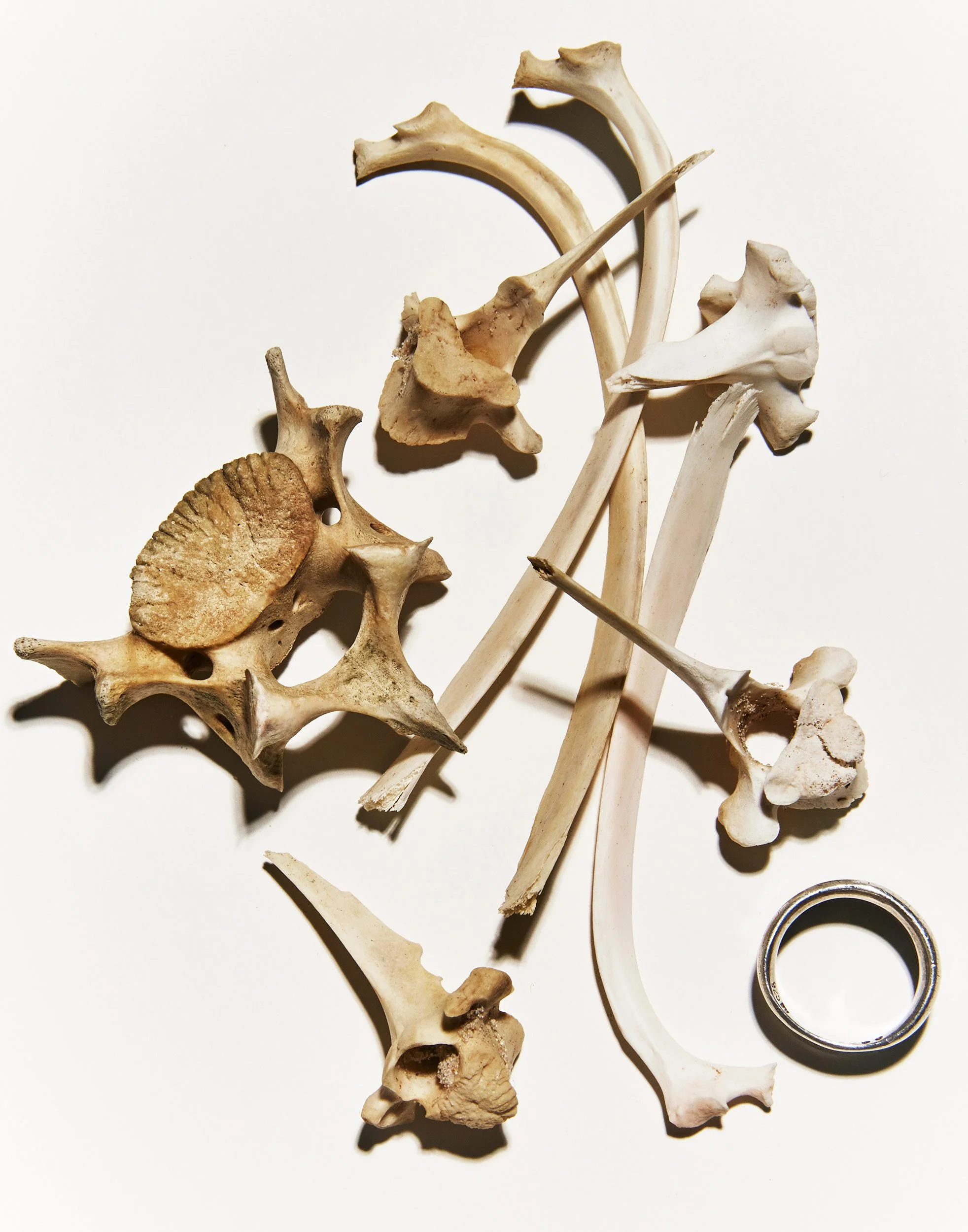 VX_RE_RING_BONES_09_27_2026_Studio_test17685-1.jpg