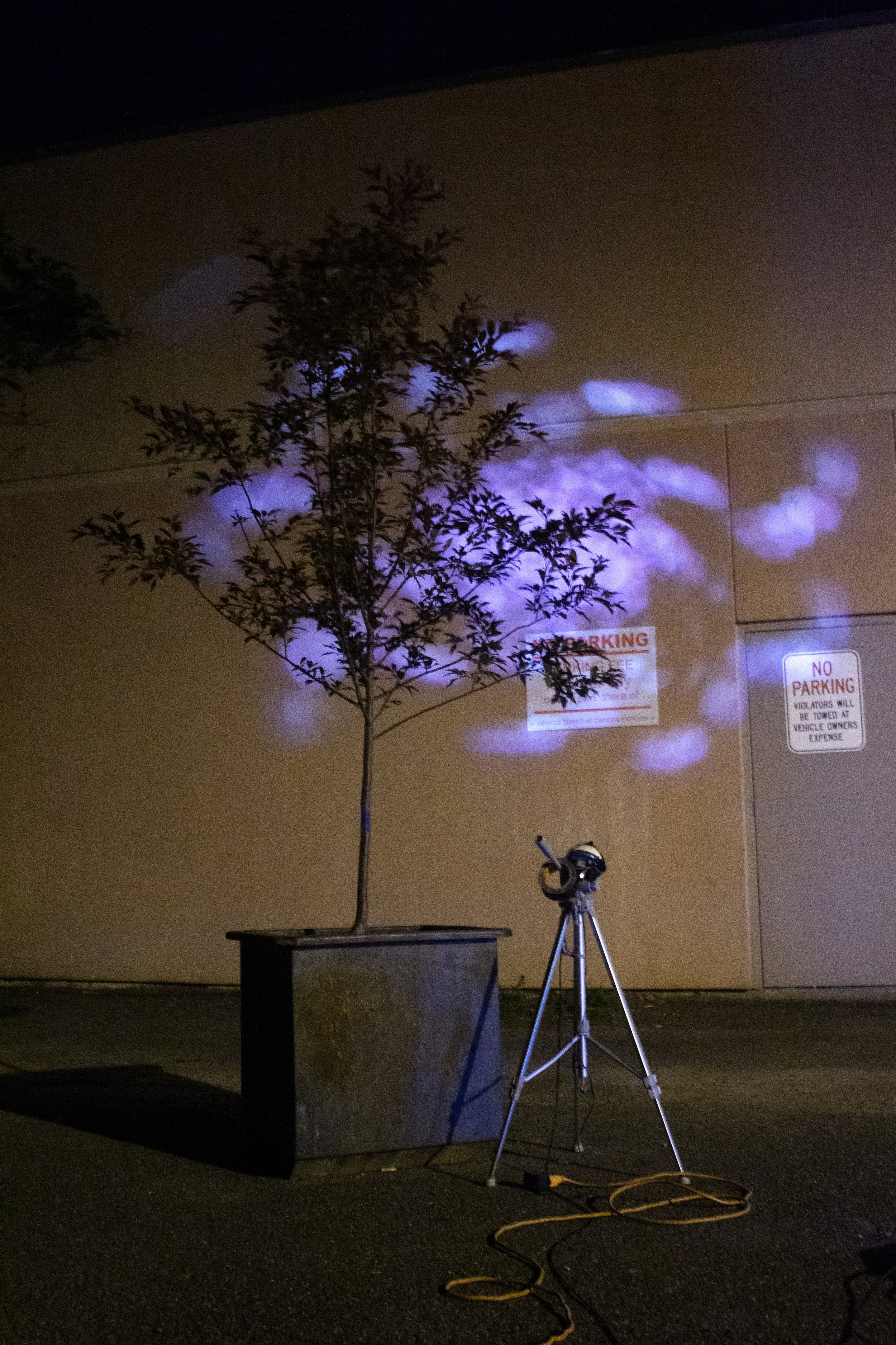 GBprojection6.jpg