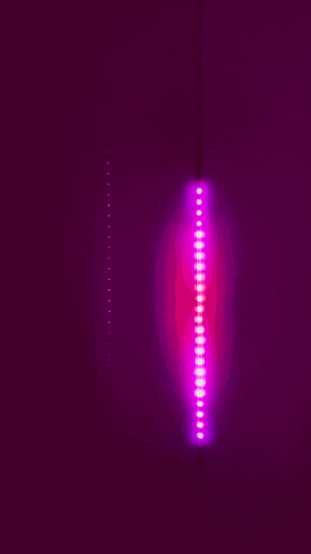 audio_reactive.gif
