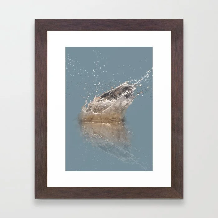 Conservation-framed print on paper in a variety of frame colors and sizes from $44.99-154.99