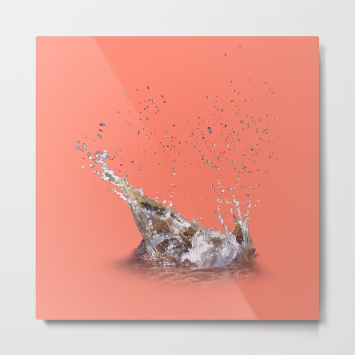 Unframed print on metal in various sizes, from $61.99-165.99