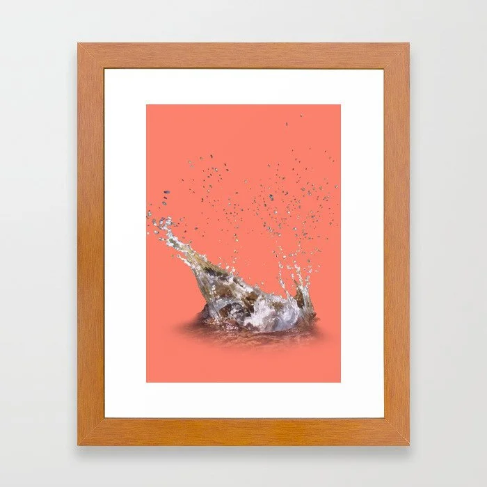 Conservation-framed print on paper in a variety of frame colors and sizes from $44.99-154.99