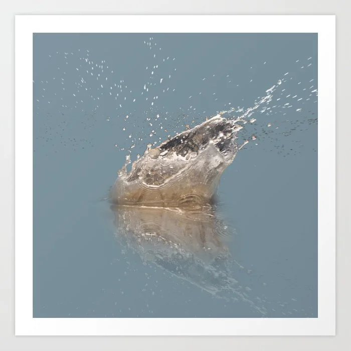 Unframed print on paper in various sizes from $19.99-55.99