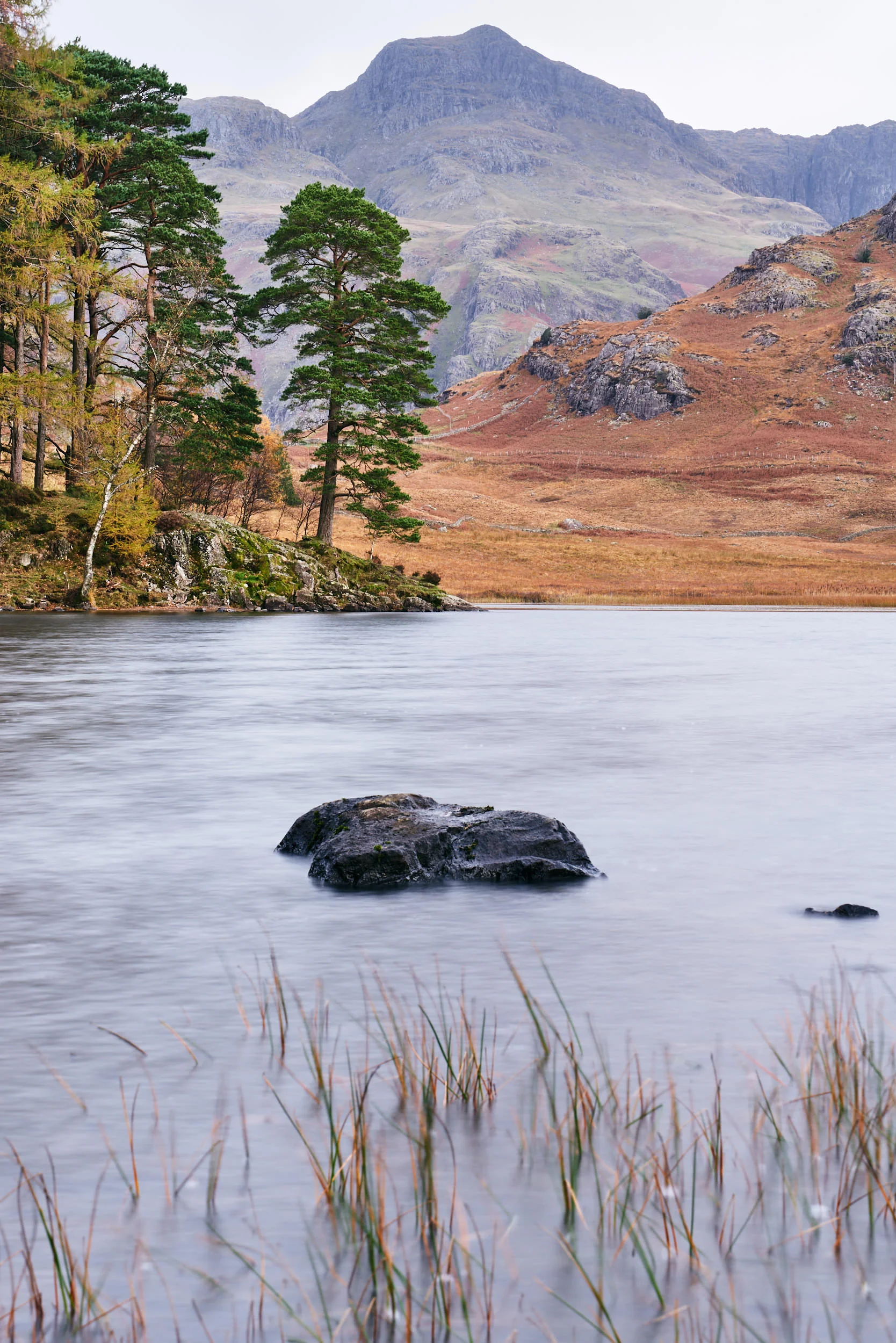 Andrew_Mahon_Photography_52_Challenge_Week_1.jpg