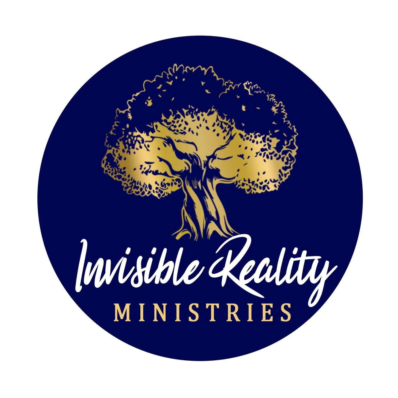 invisisble realities logo.jpeg