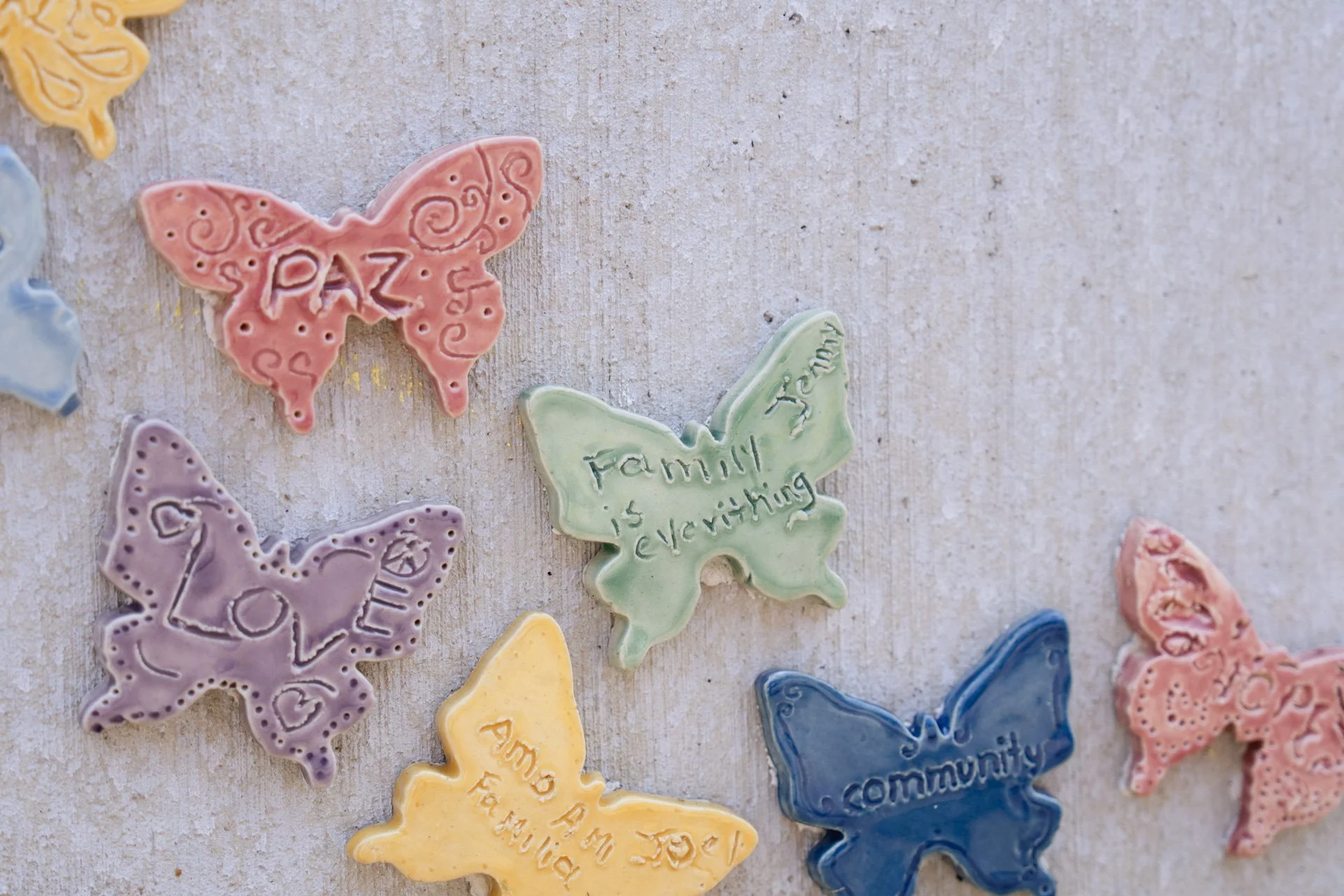 butterflies-web-26.jpg
