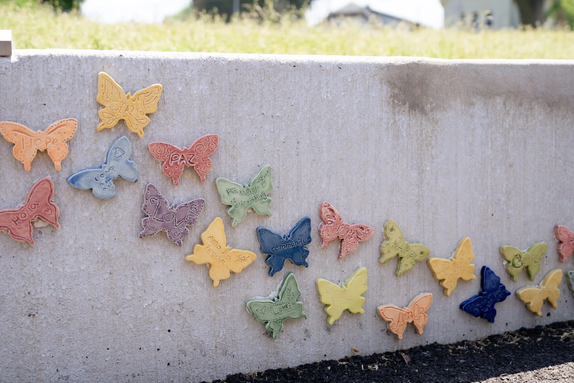 butterflies-web-27.jpg