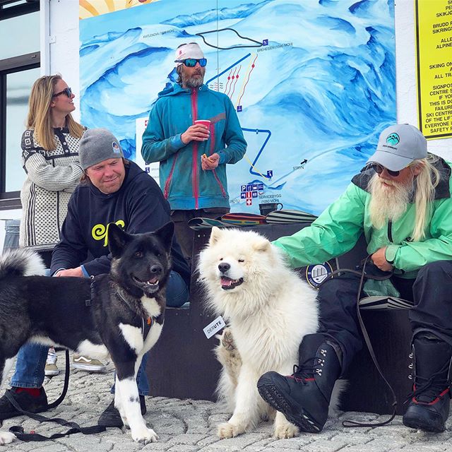 God vibes @strynsommerski!
📷 @emilsons!  #lifeofelton #mountain #stryn #visitnorway #ilovenorway #mittnorge #americanakitas #pet #glacier #strynsommerski #dogsofinstagram #samojed #samoyed #nikon #dog #animal #akita #hikingdogsofinstagram #sendadogp