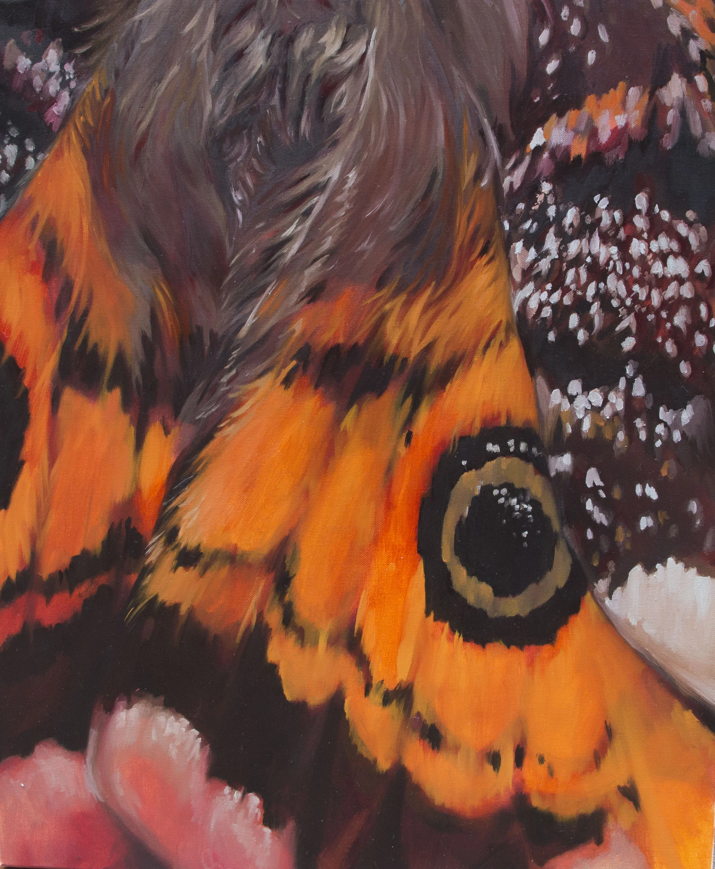 Emperor of the Night.JPG