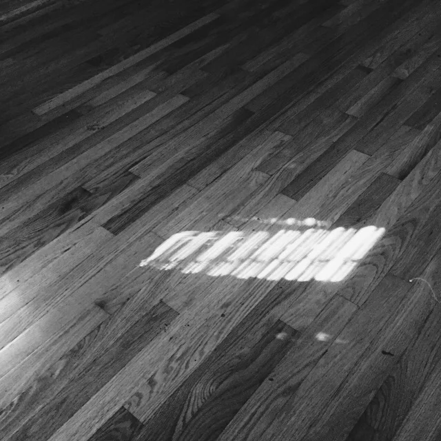 The Necessary Light of Borders