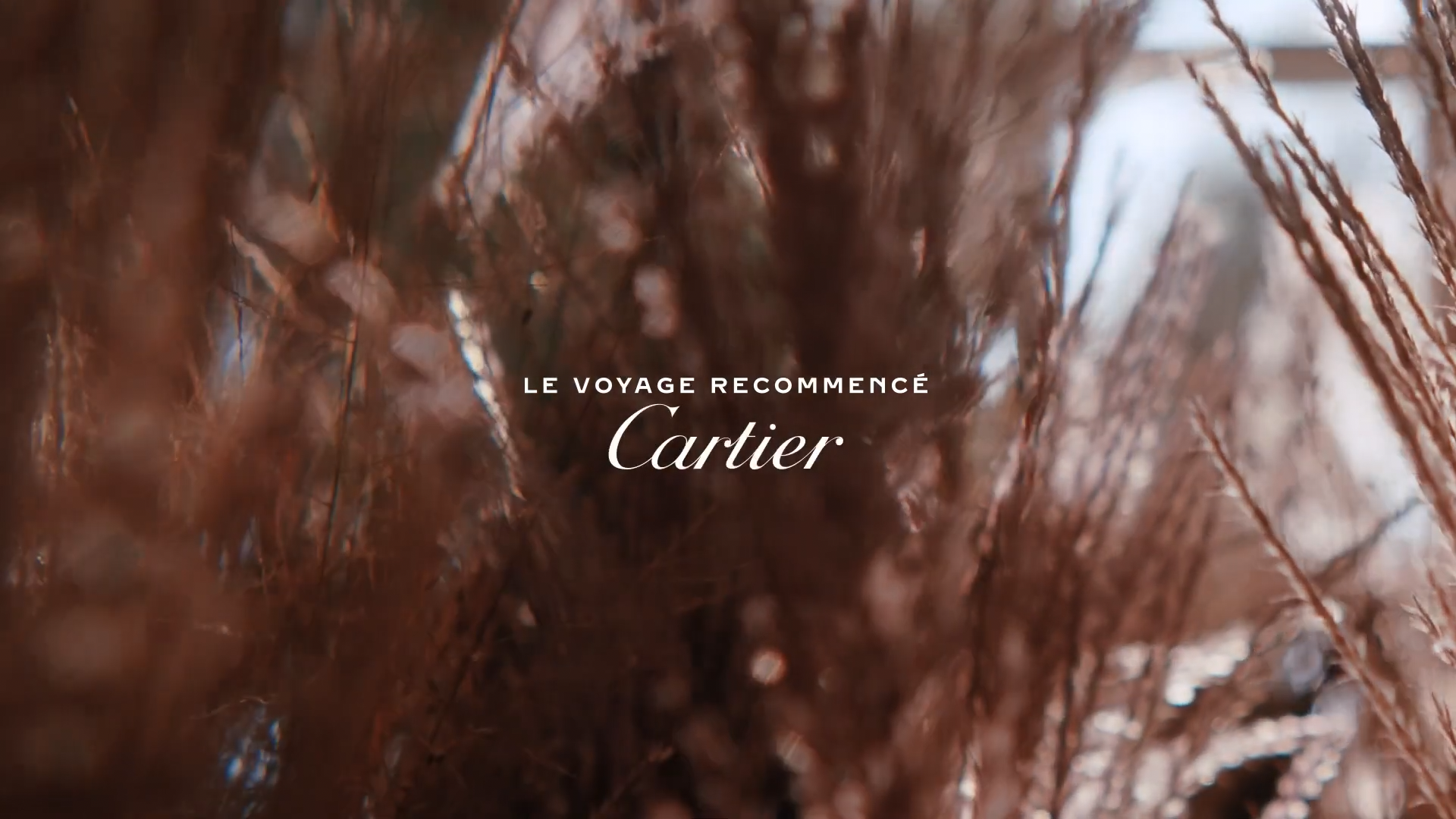 Cartier Le Voyage Recommencé ： in Washington-0015.png