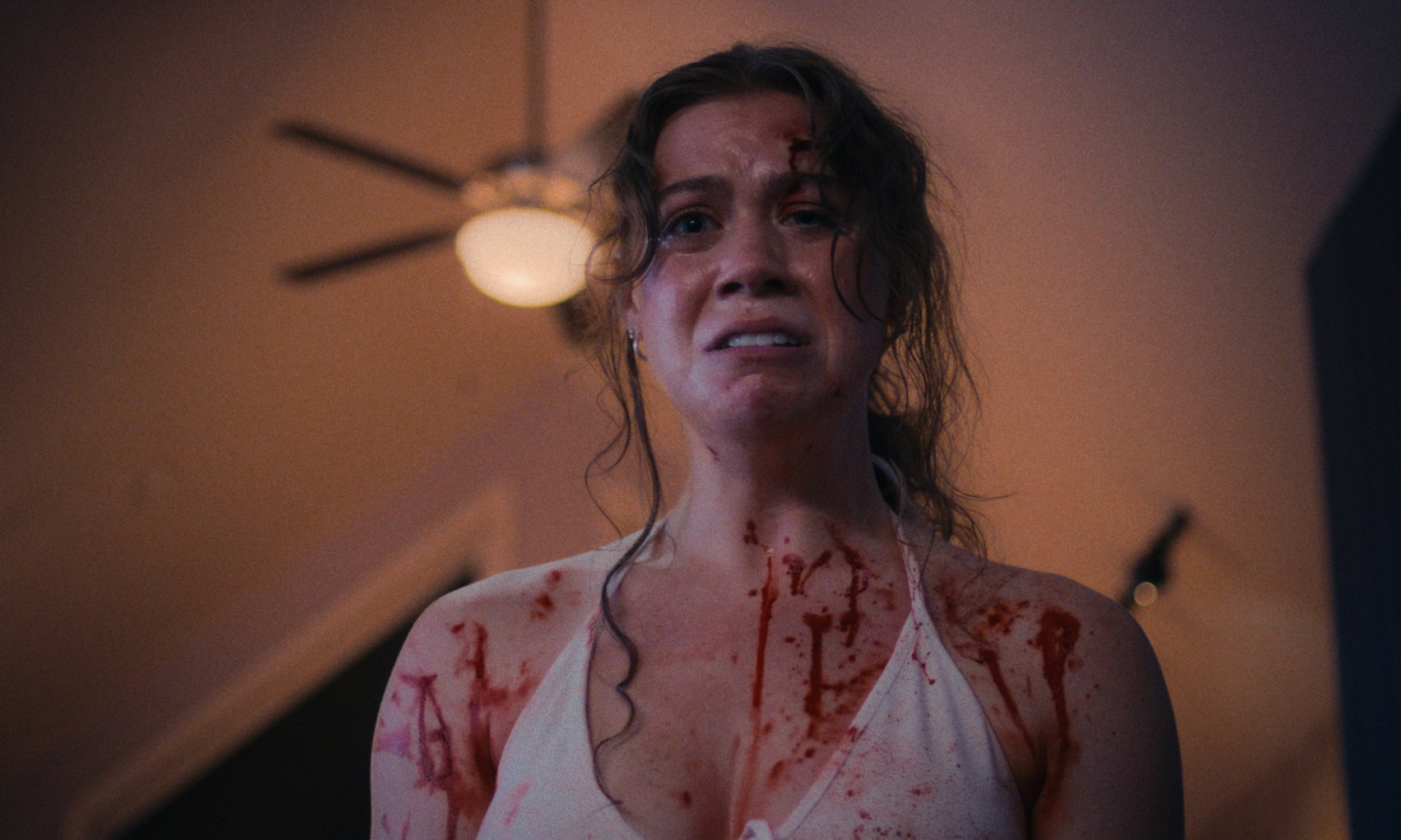 Still 2025-01-03 153040_1.1.27.jpeg