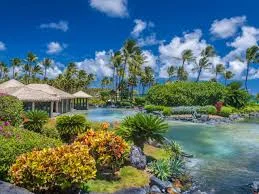 hawaii.jpg