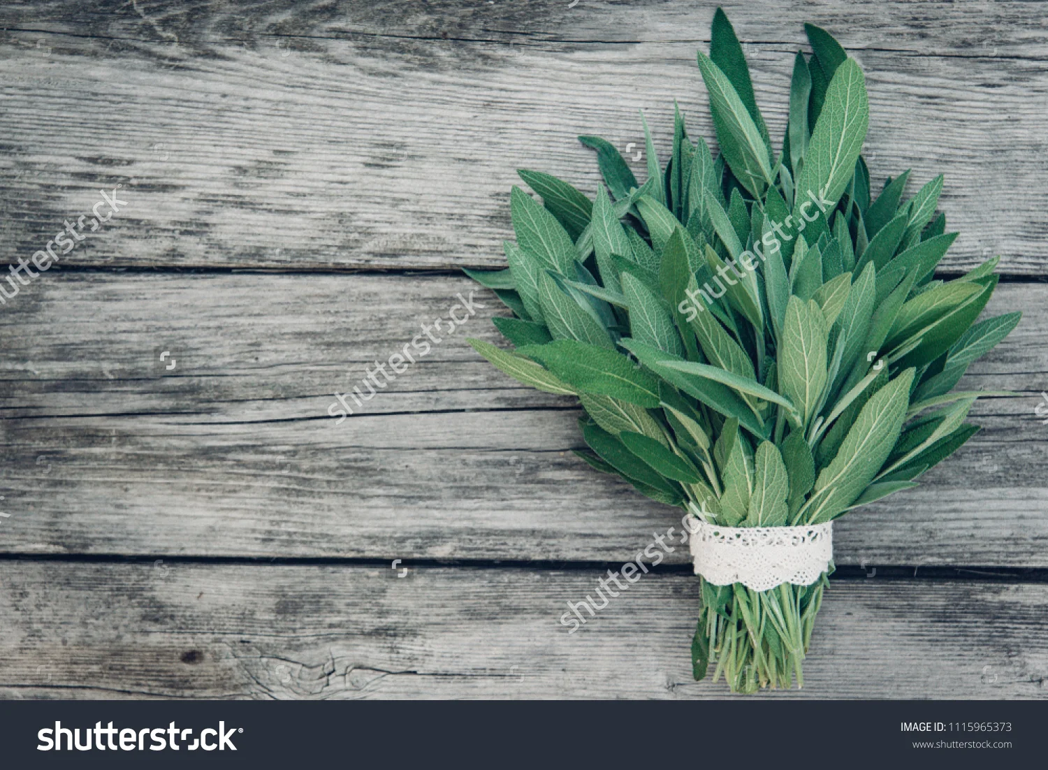 stock-photo-salvia-officinalis-sage-leaves-on-old-wooden-table-garden-sage-handmade-lace-retro-magazine-1115965373.jpg