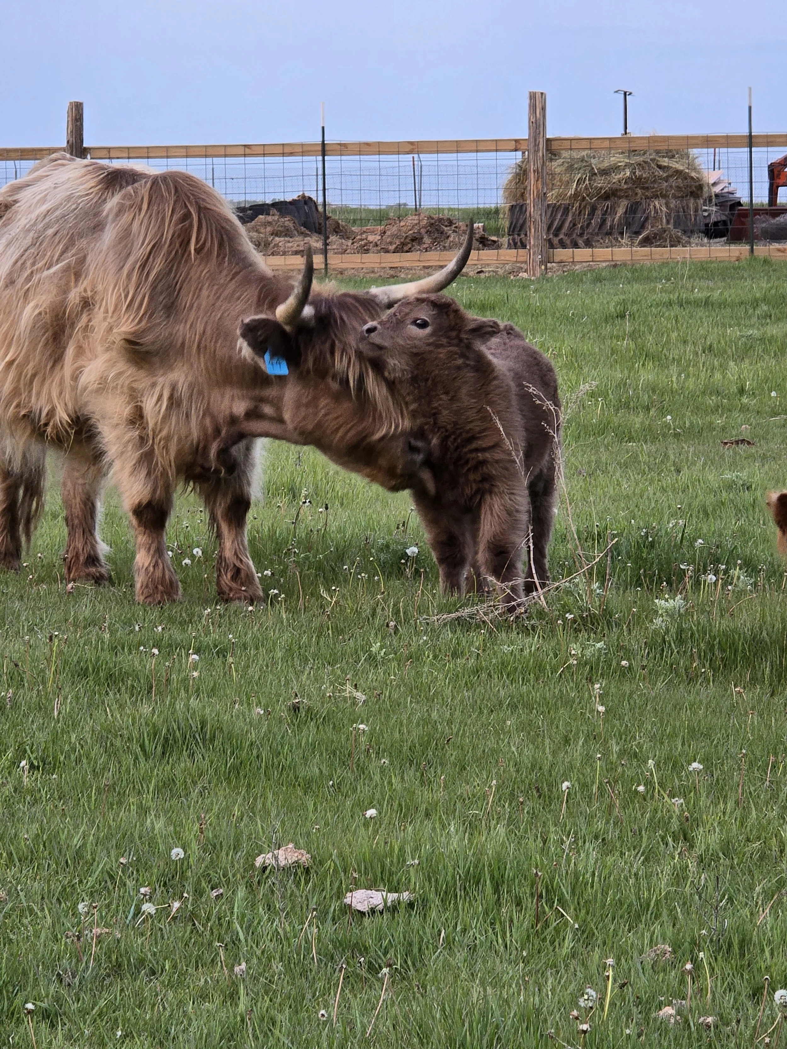 20250523_210903 (2).jpg