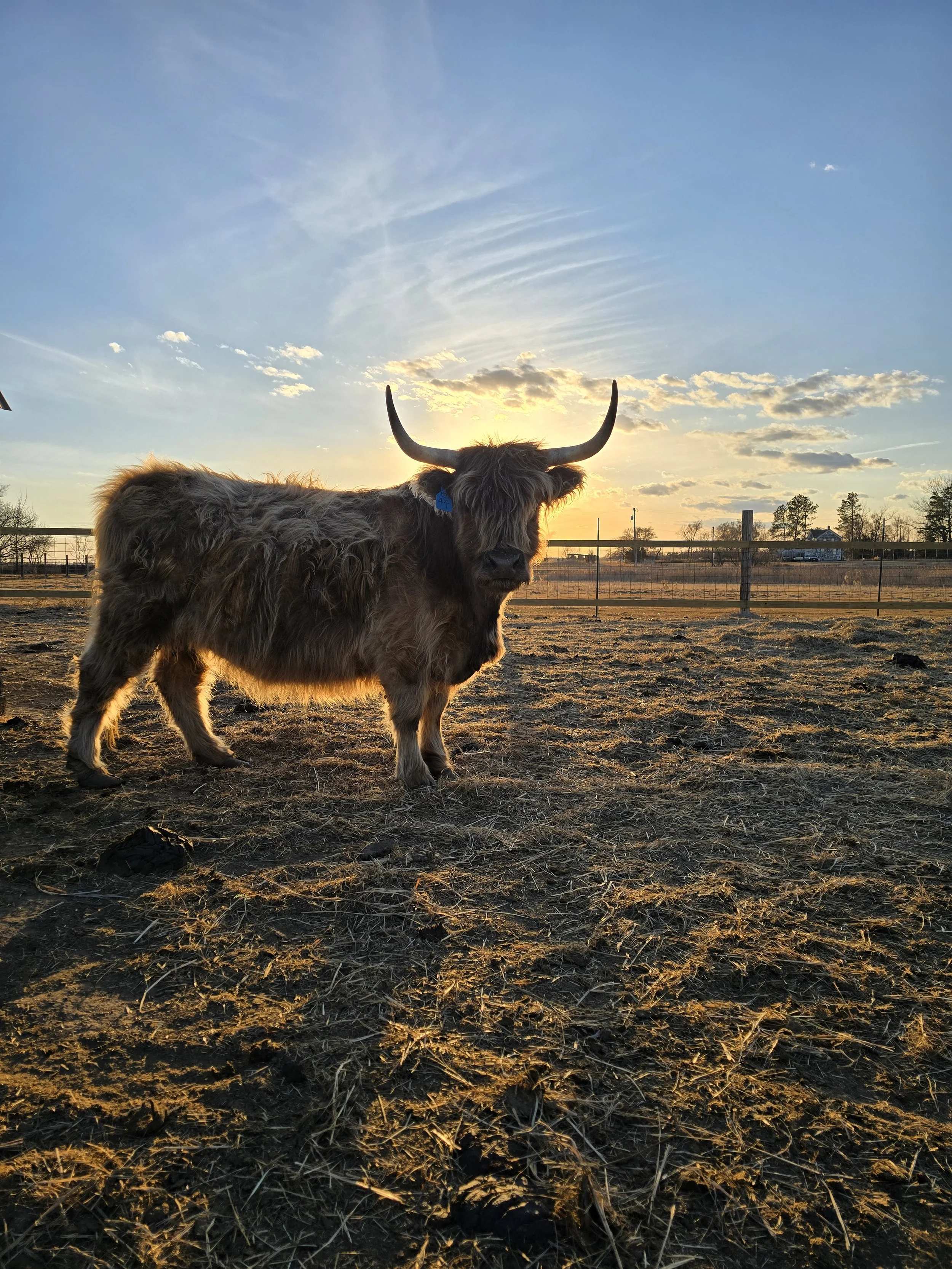 20250325_191811 (3).jpg