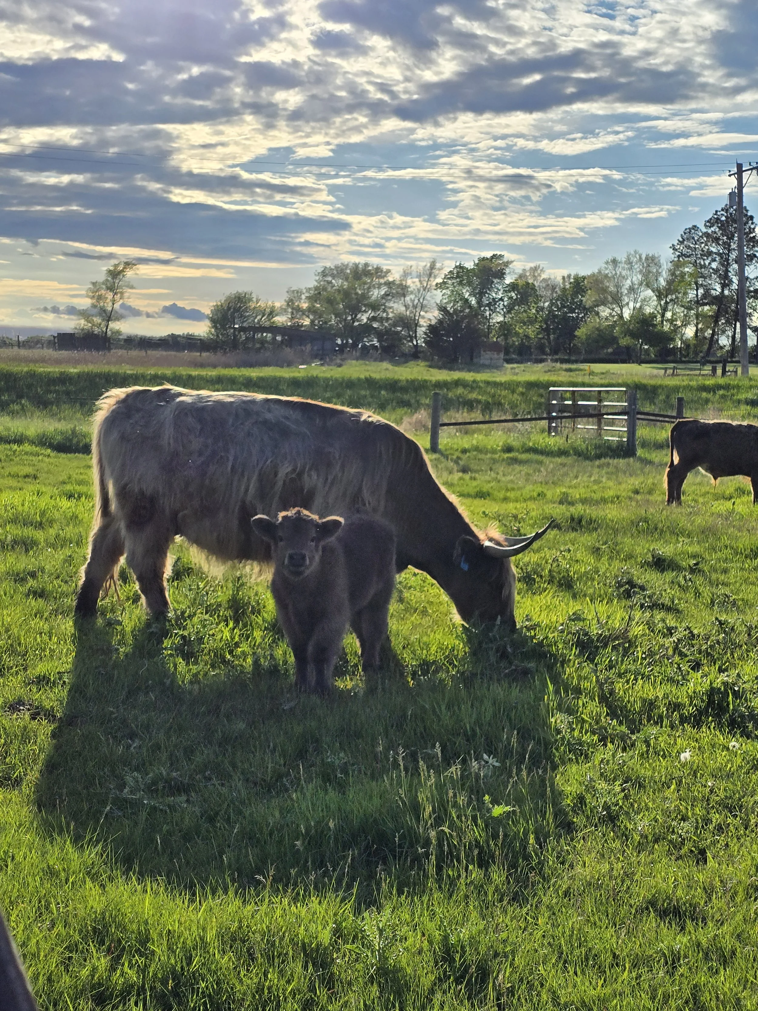 20250528_192147 (1).jpg