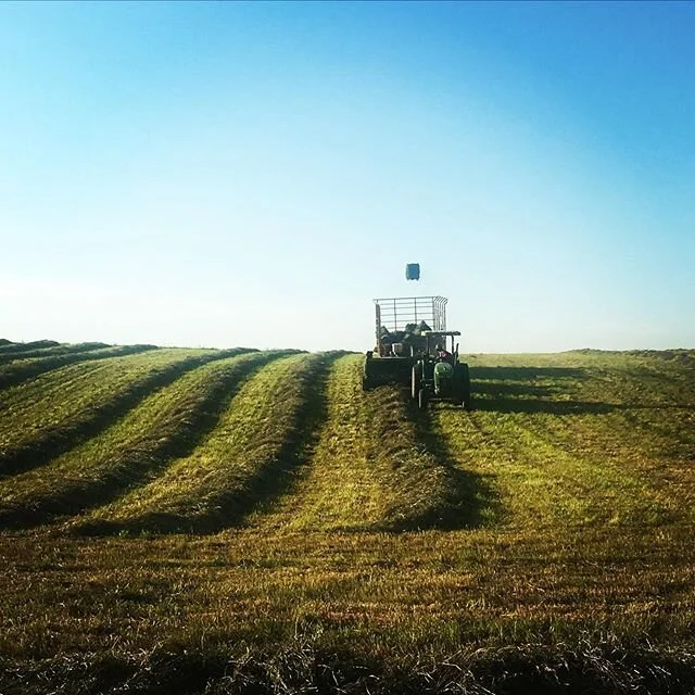 up in the air  #photography #farmlife #wisconsin